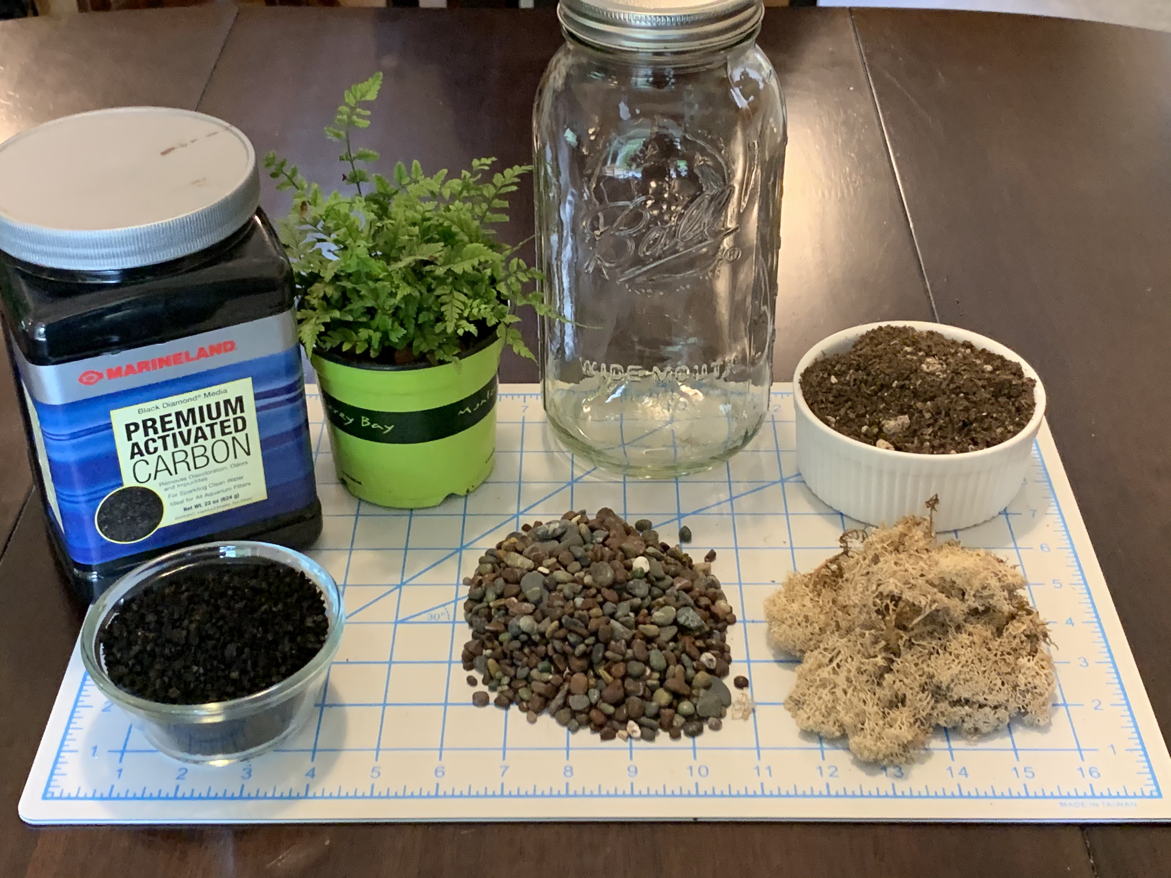 DIY Sealed Terrarium (3 Steps With Pictures) 3 Steps Instructables