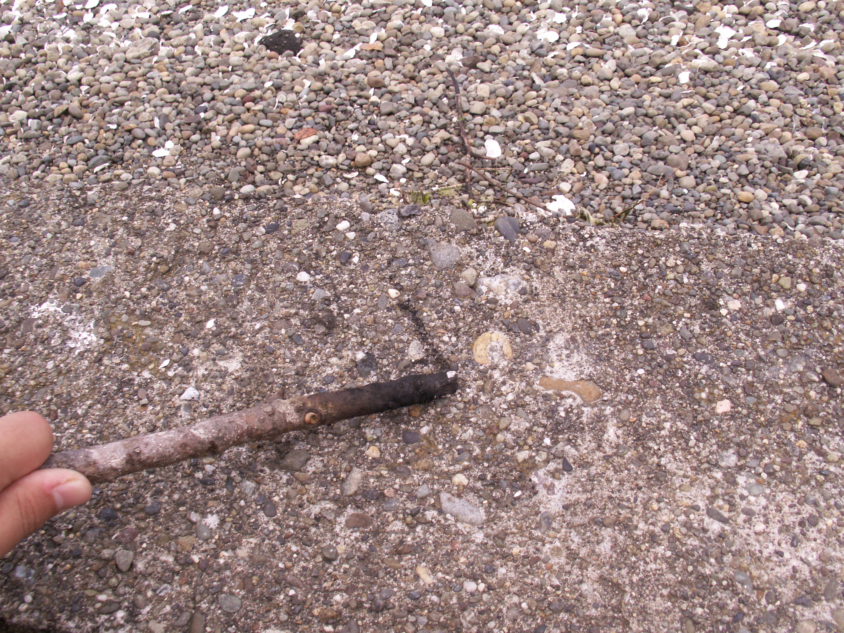 How to Sharpen a Stick With Fire. 4 Steps Instructables