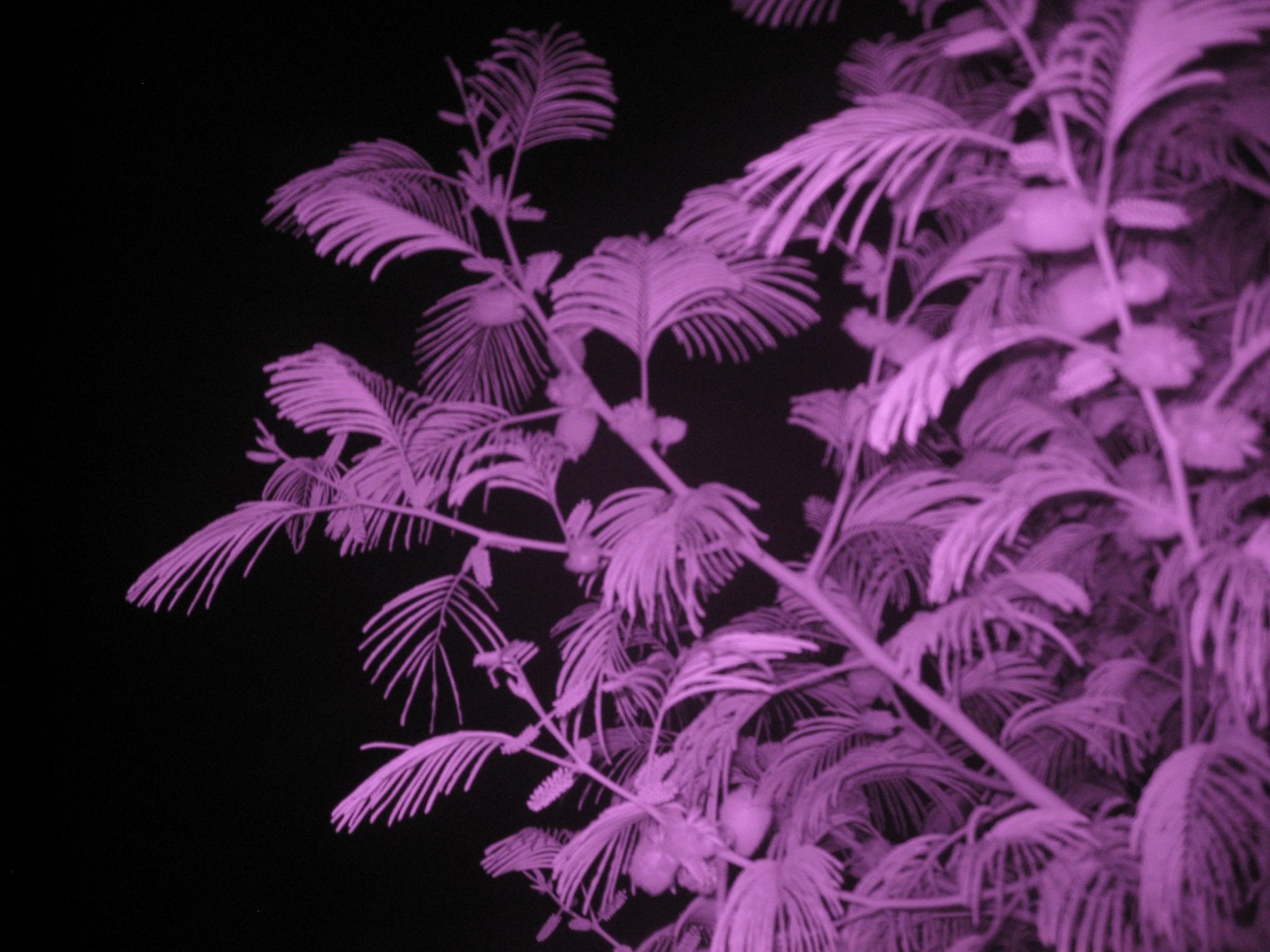 Infrared Camera (see in the Dark) 3 Steps Instructables