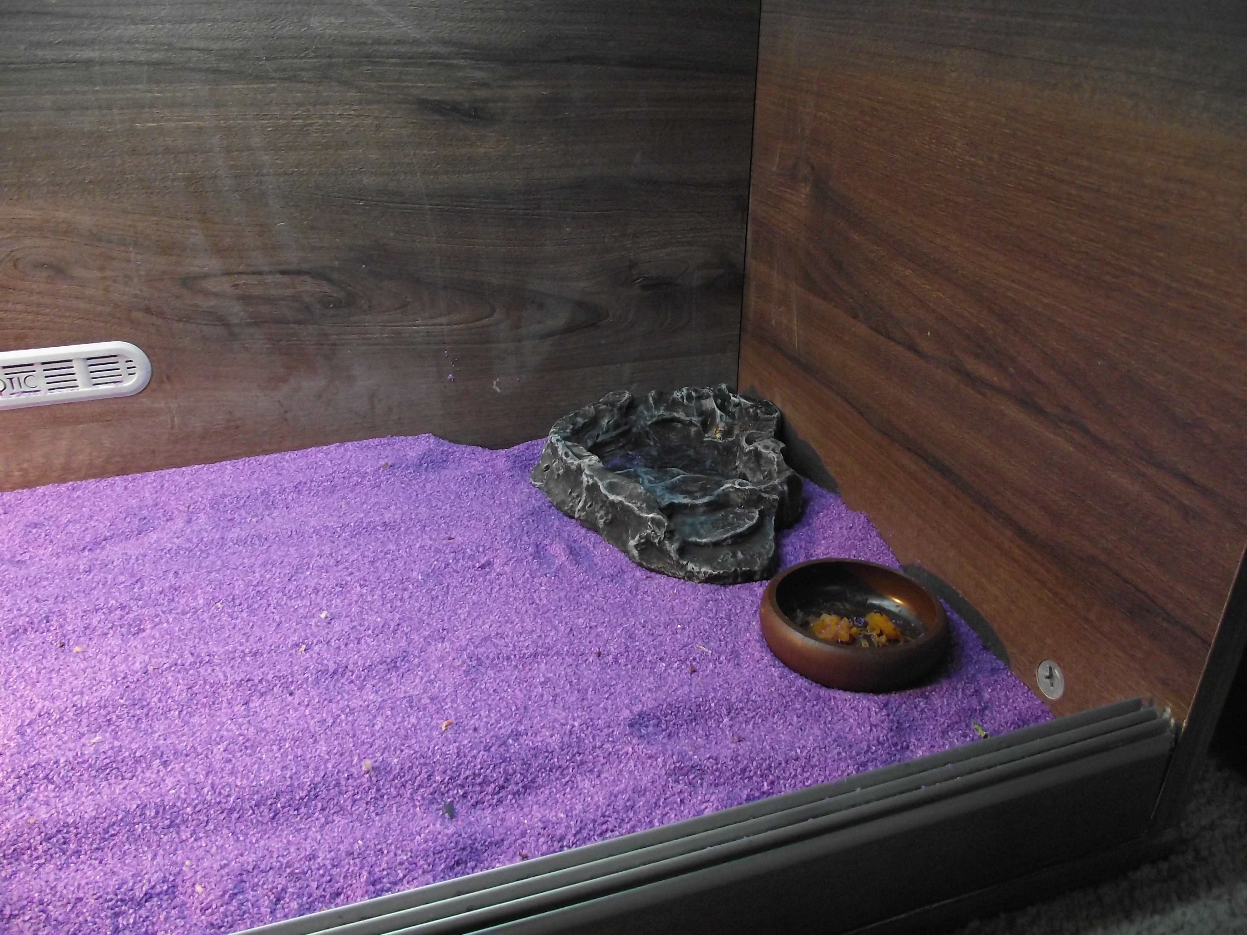 Bearded Dragon Vivarium 5 Steps Instructables