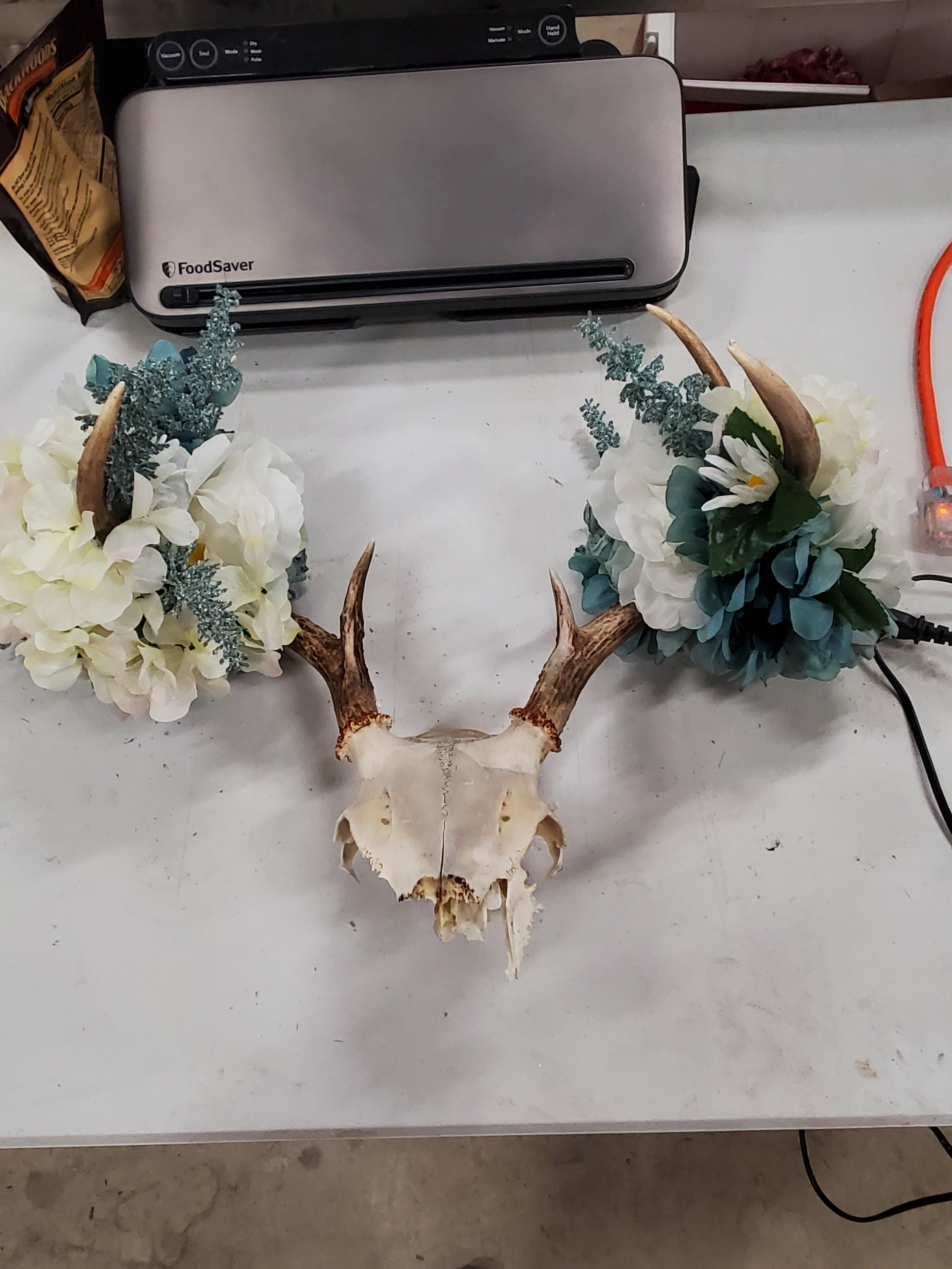 How to Make a Floral Decorated Deer Skull 3 Steps Instructables