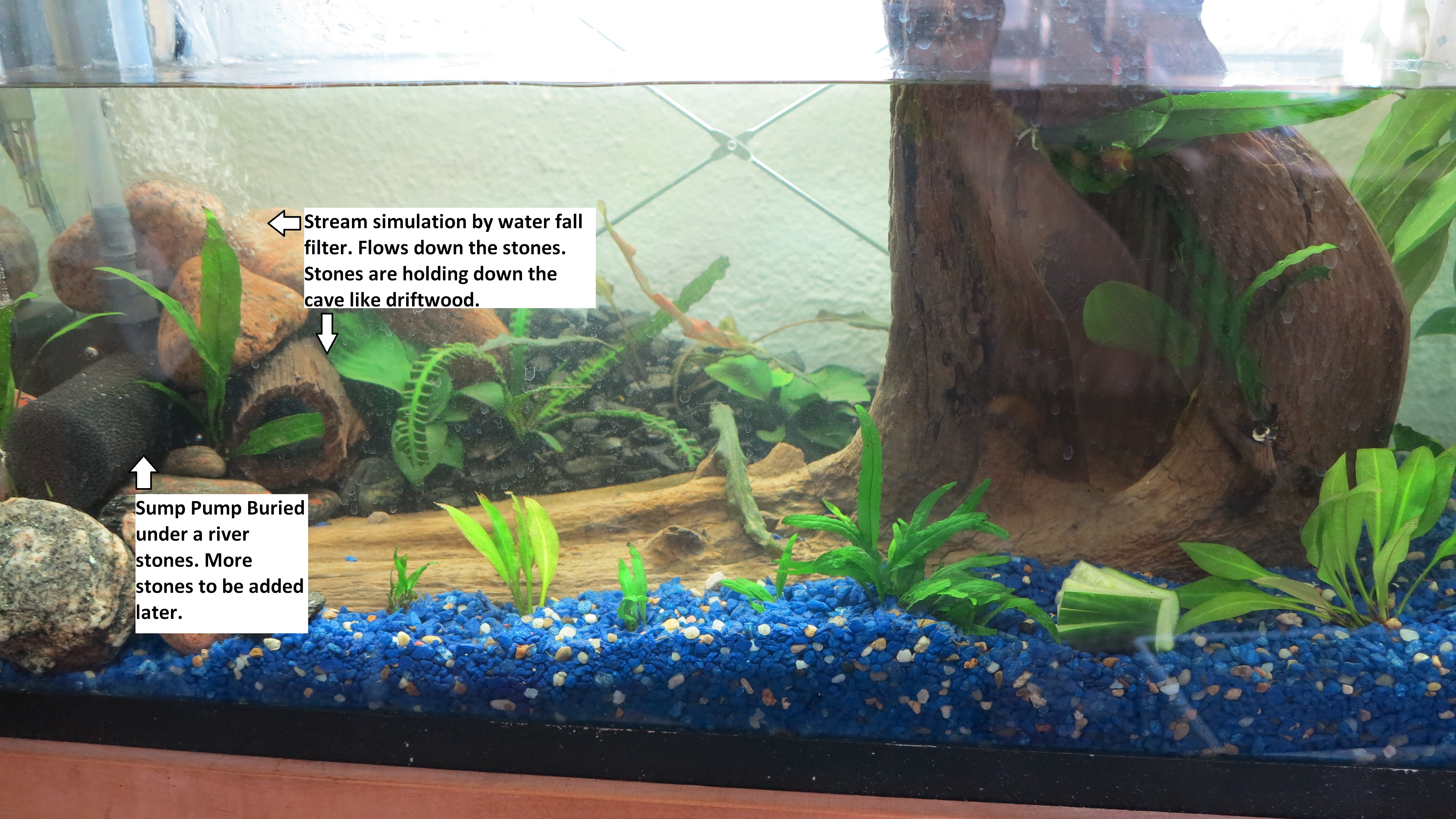 Ebb and Flow Aquaponics for the Office 12 Steps (with Pictures