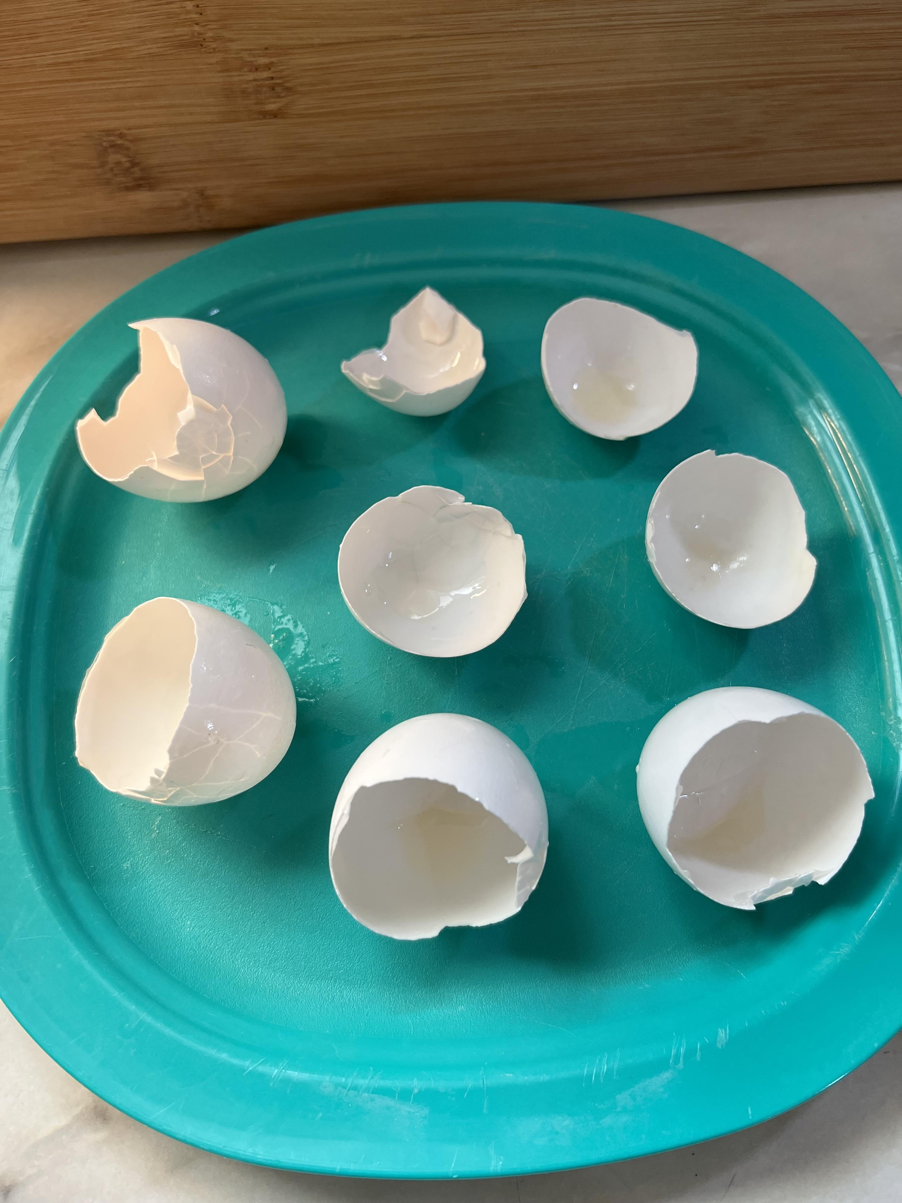 Healthful Egg Shells! 9 Steps (with Pictures) Instructables