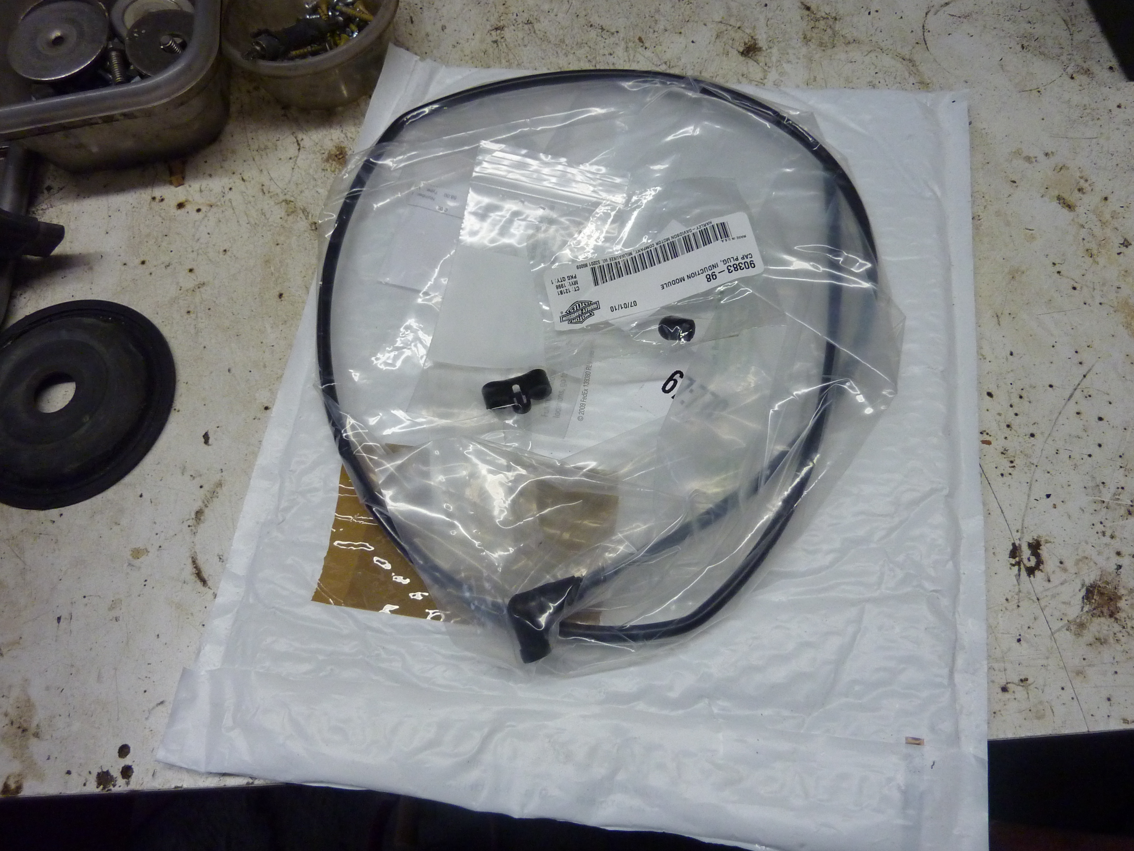 Removing the Fuel Vapor Canister From Your California Harley 5 Steps