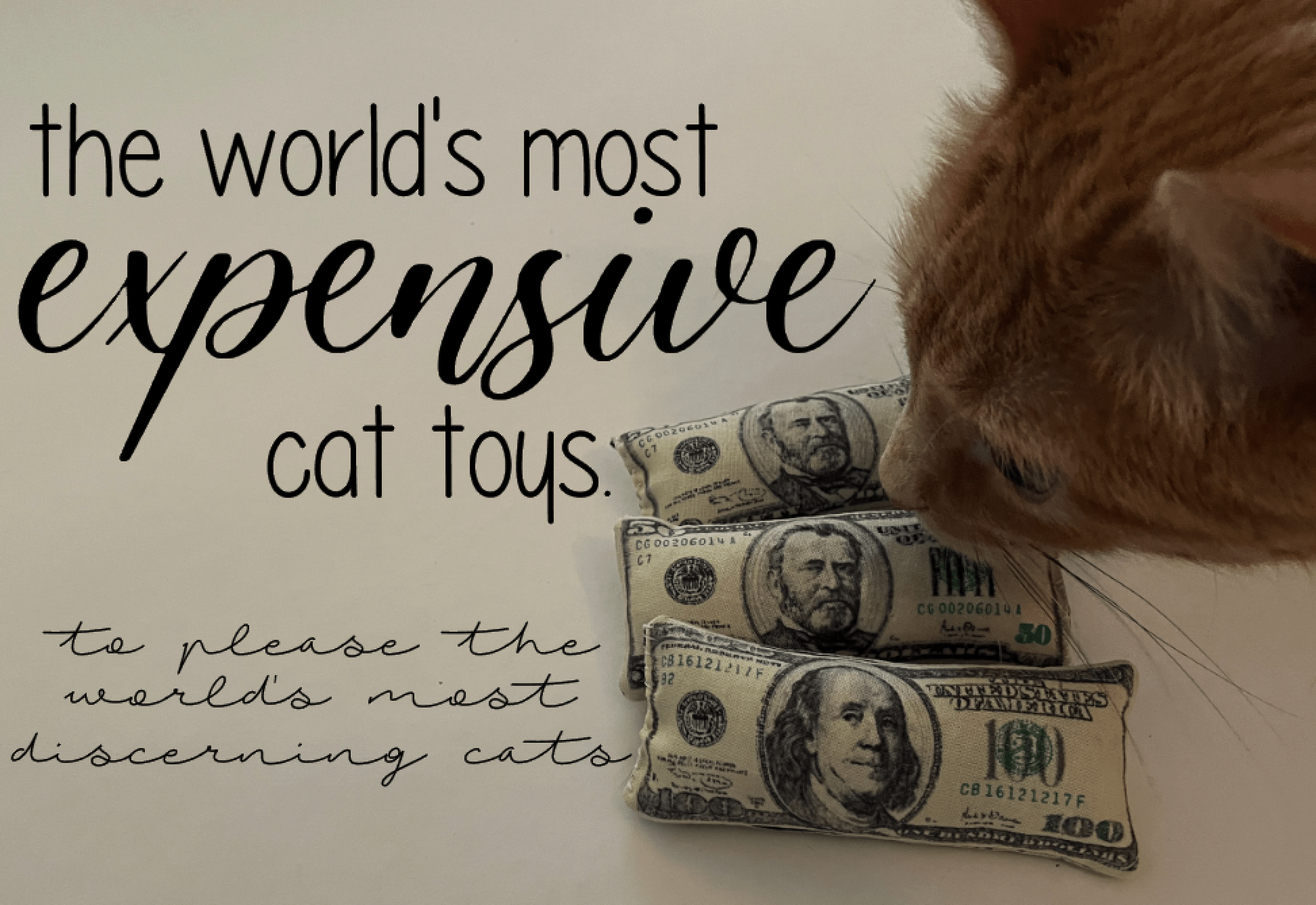 The World's Most Expensive Cat Toys 6 Steps (with Pictures