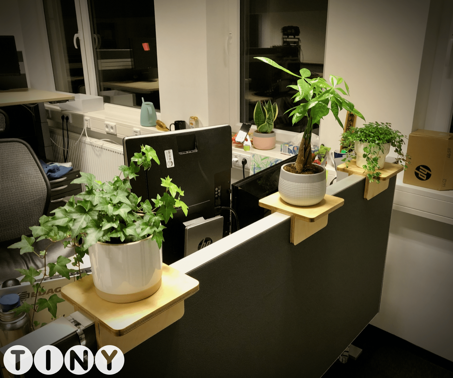 14+ Plants For Cubicle