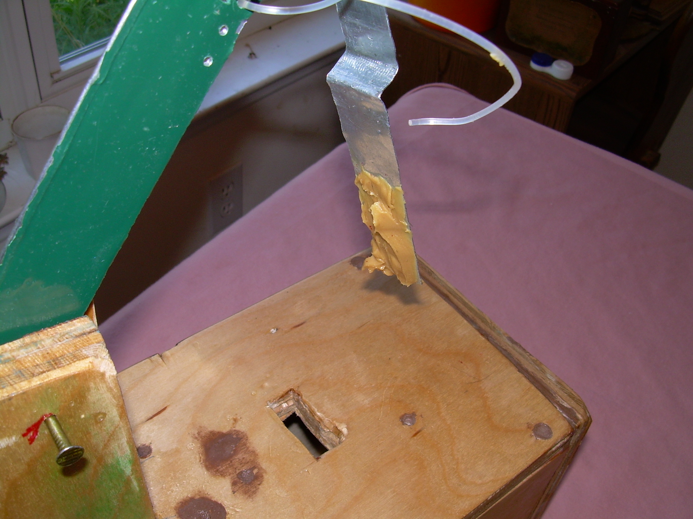 Basic Live Trap for Rabbits, Squirrels and Other Beasts : 8 Steps