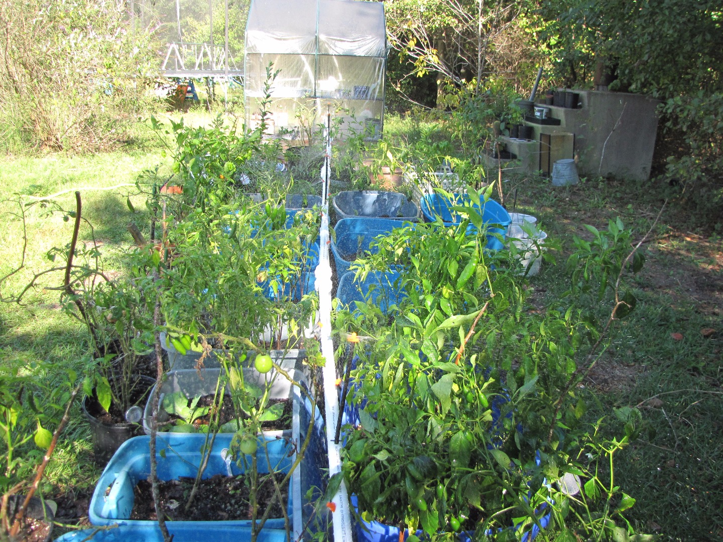 Fast and Easy, PVC Garden Watering System (for Under 70) 7 Steps