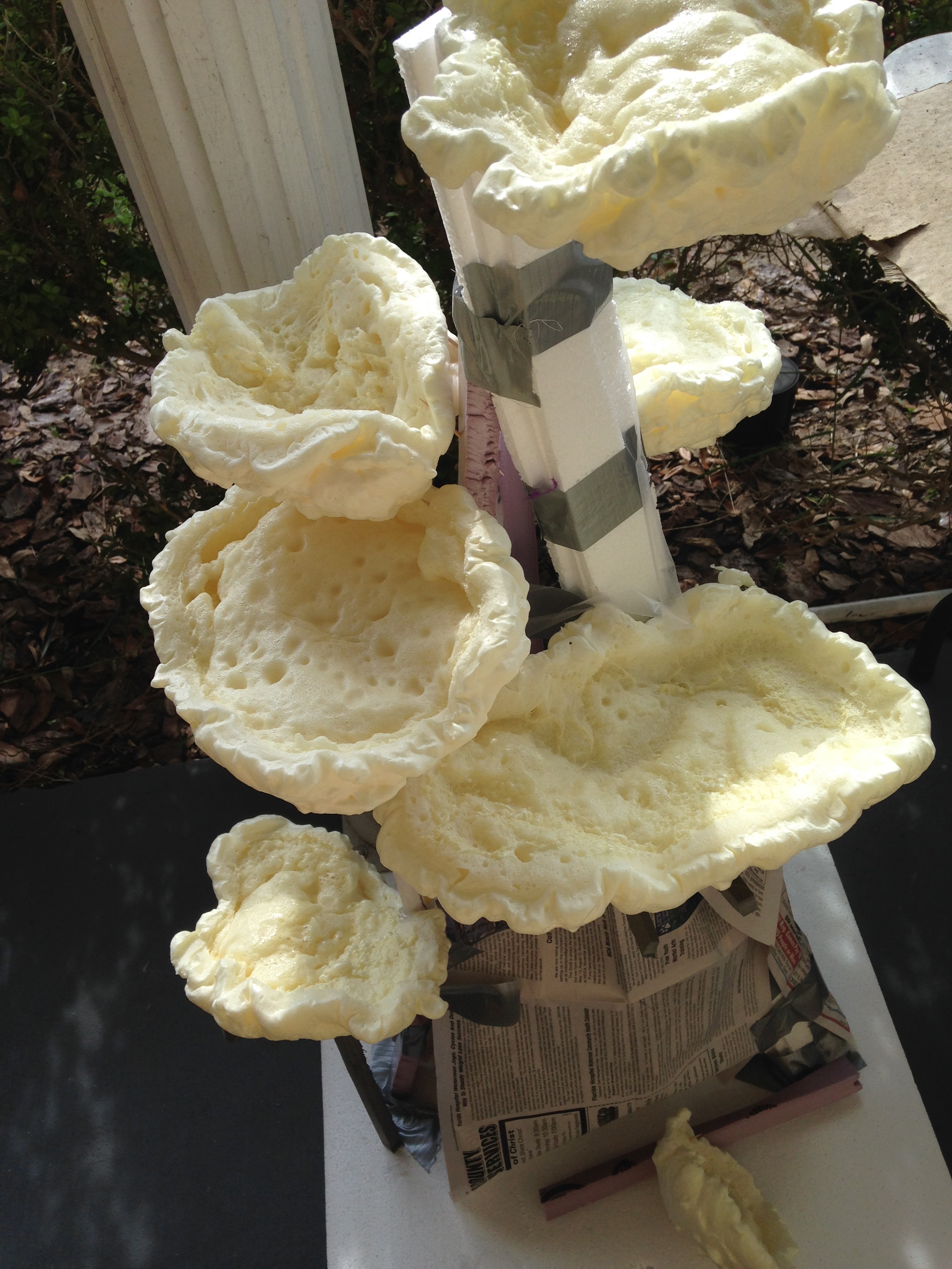 Spray Foam Coral 4 Steps (with Pictures) Instructables