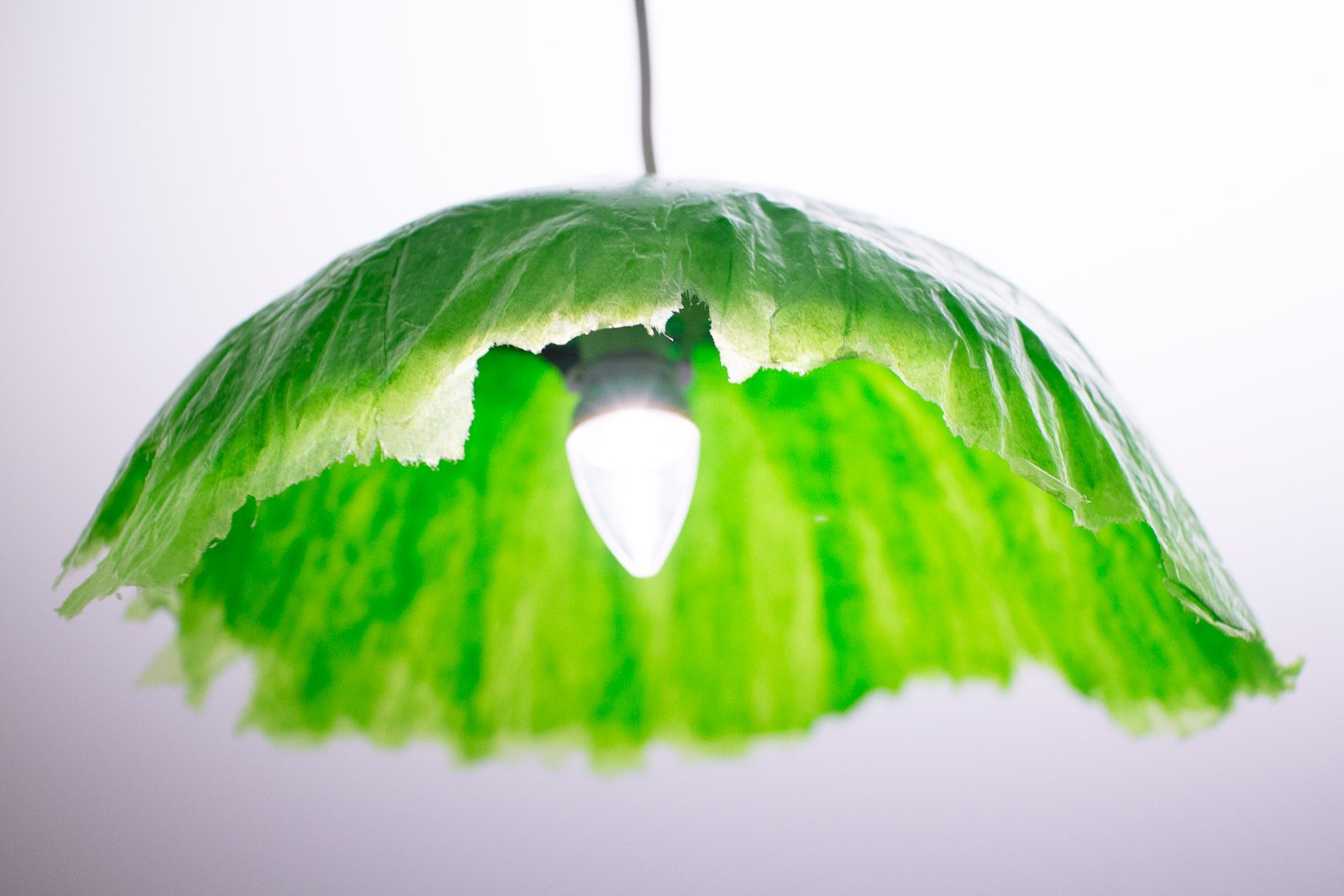 Paper Mache With Glue 7 Steps Instructables