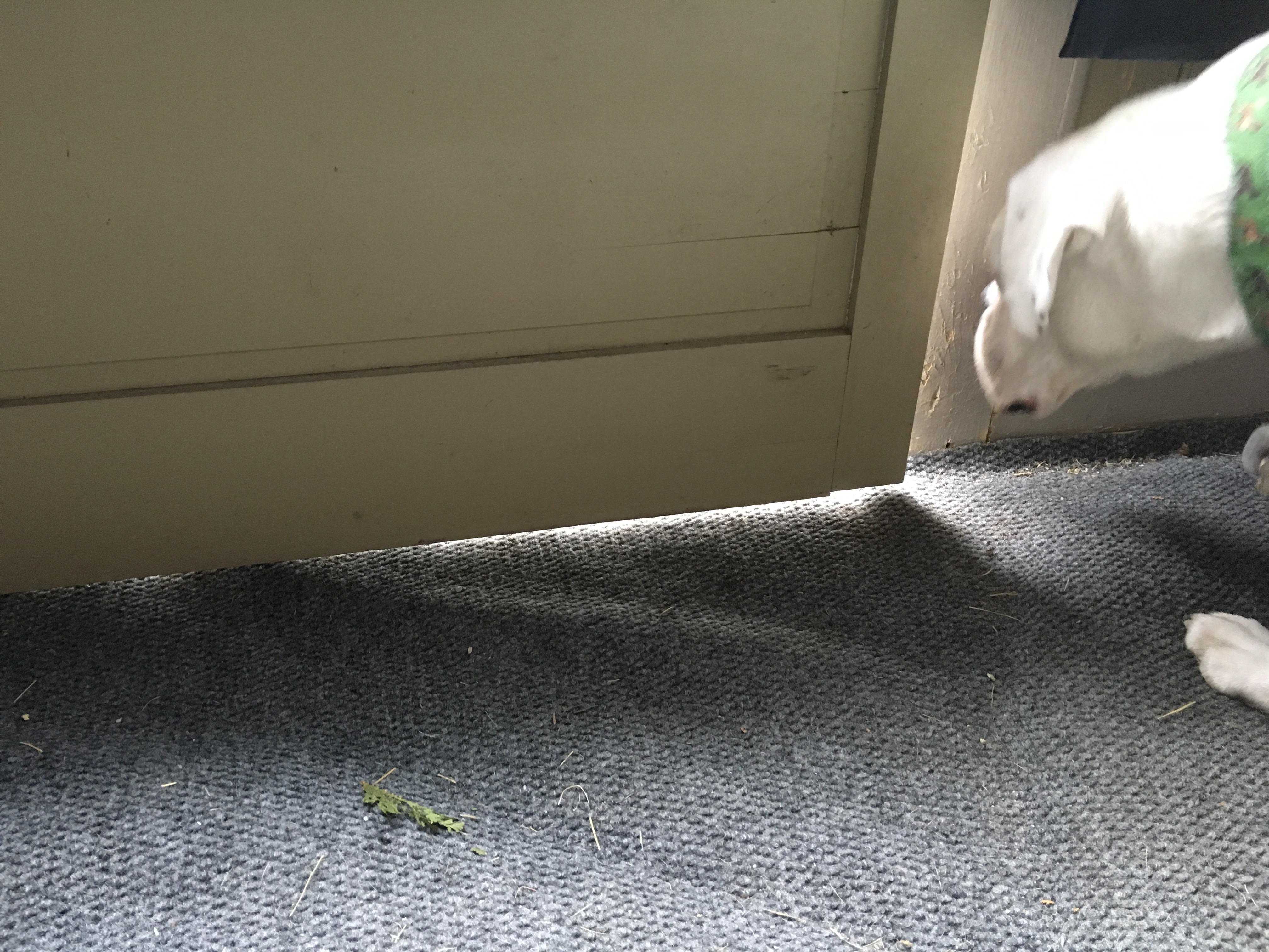 Easy Sew Draft Stopper 5 Steps (with Pictures) Instructables