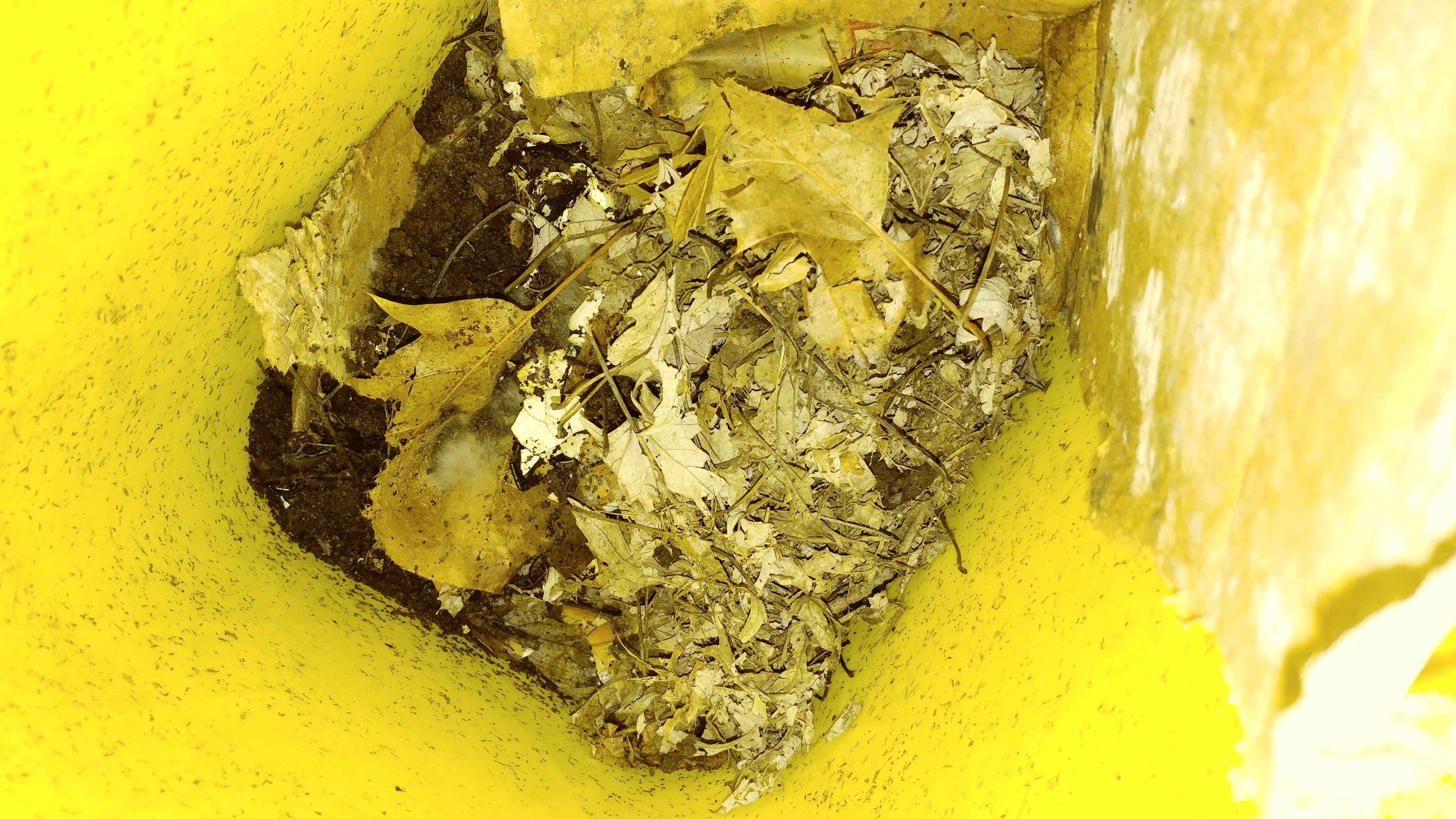 Litter Container Worm Farm 5 Steps Instructables