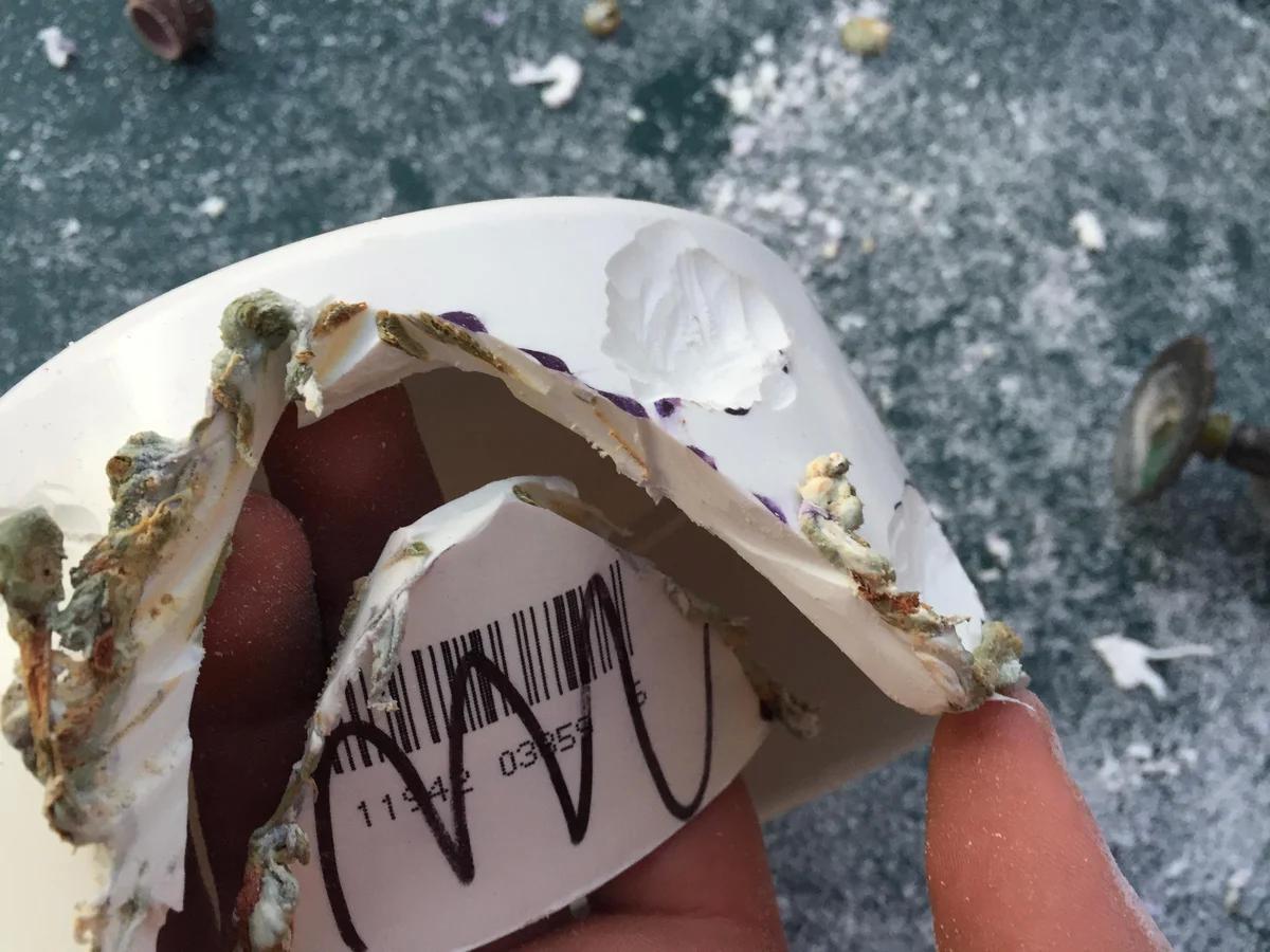 DIY PVC Aquarium Decorations 9 Steps Instructables