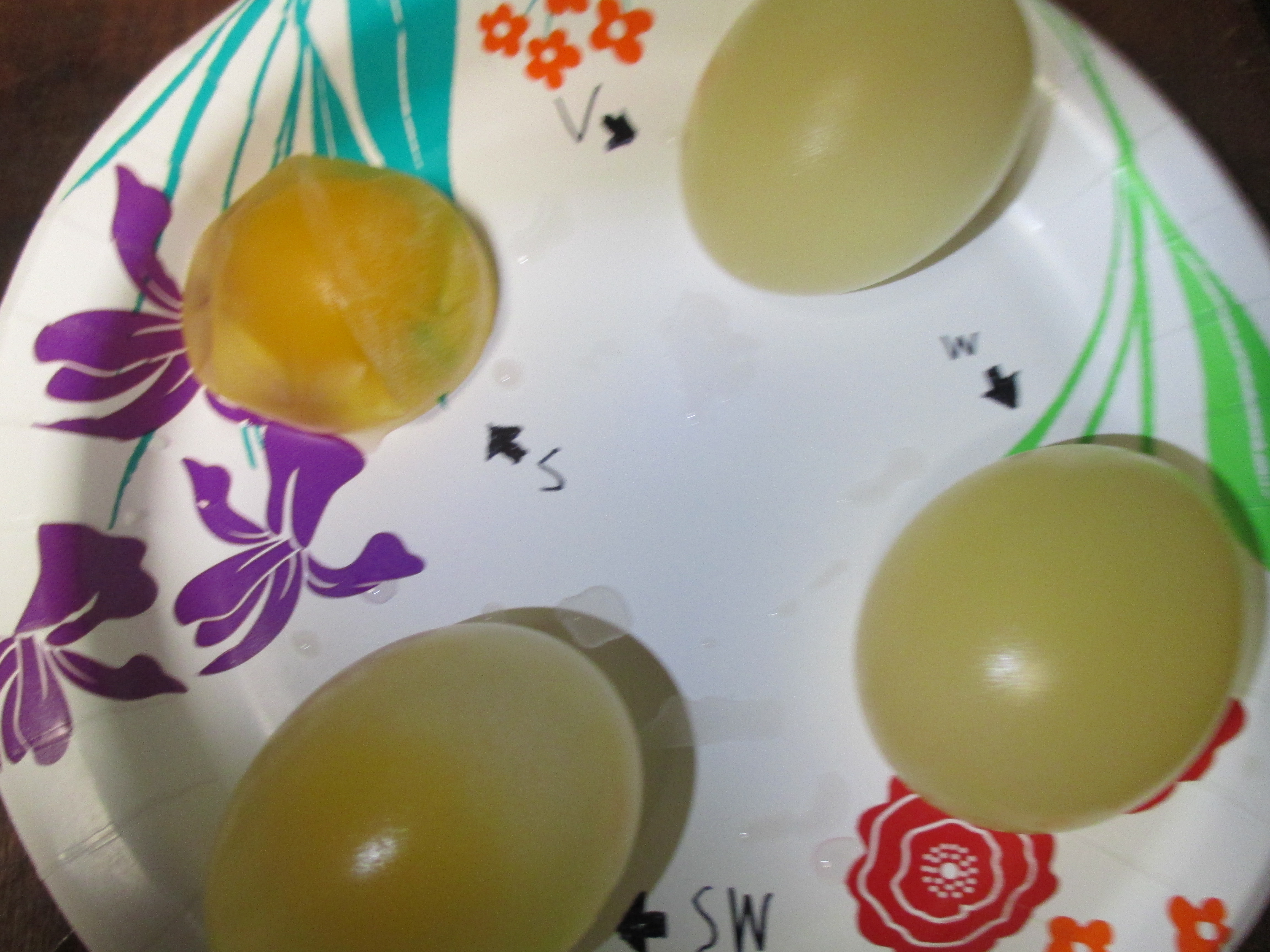 Example Of Osmosis With Eggs