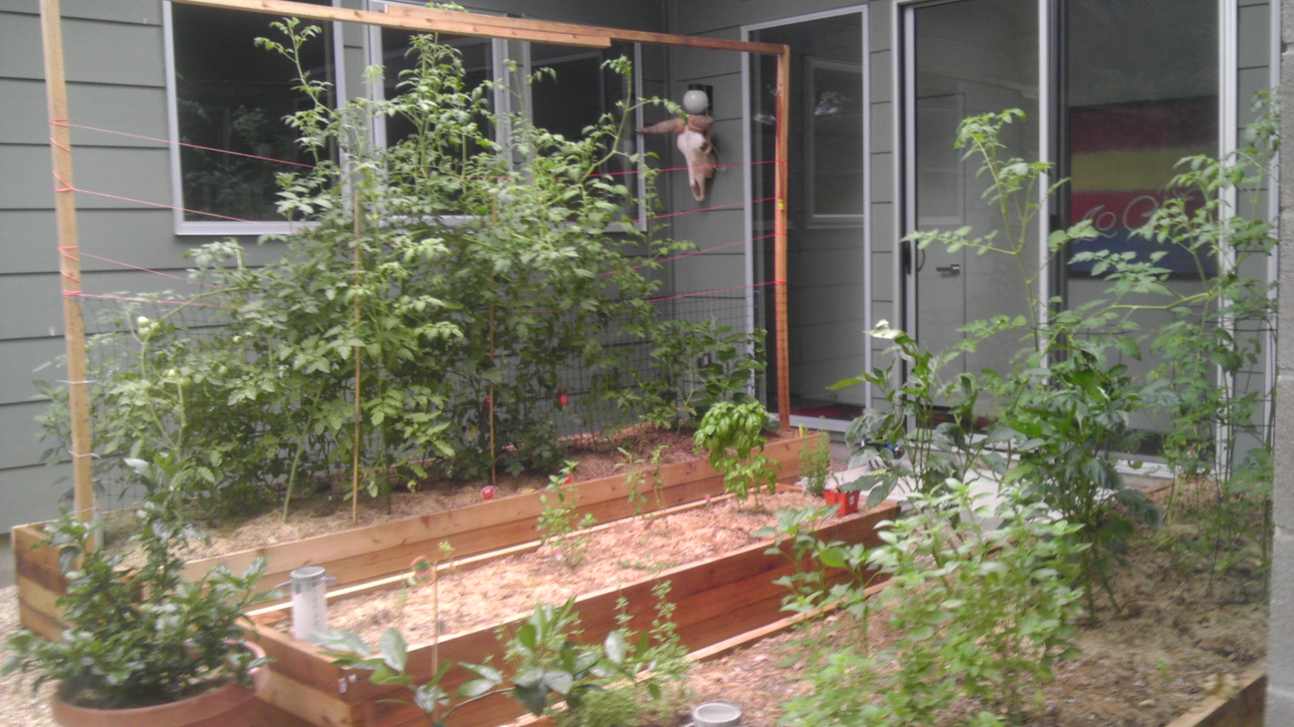 Austin Texas Wicking Bed Raised Garden 4 Steps Instructables