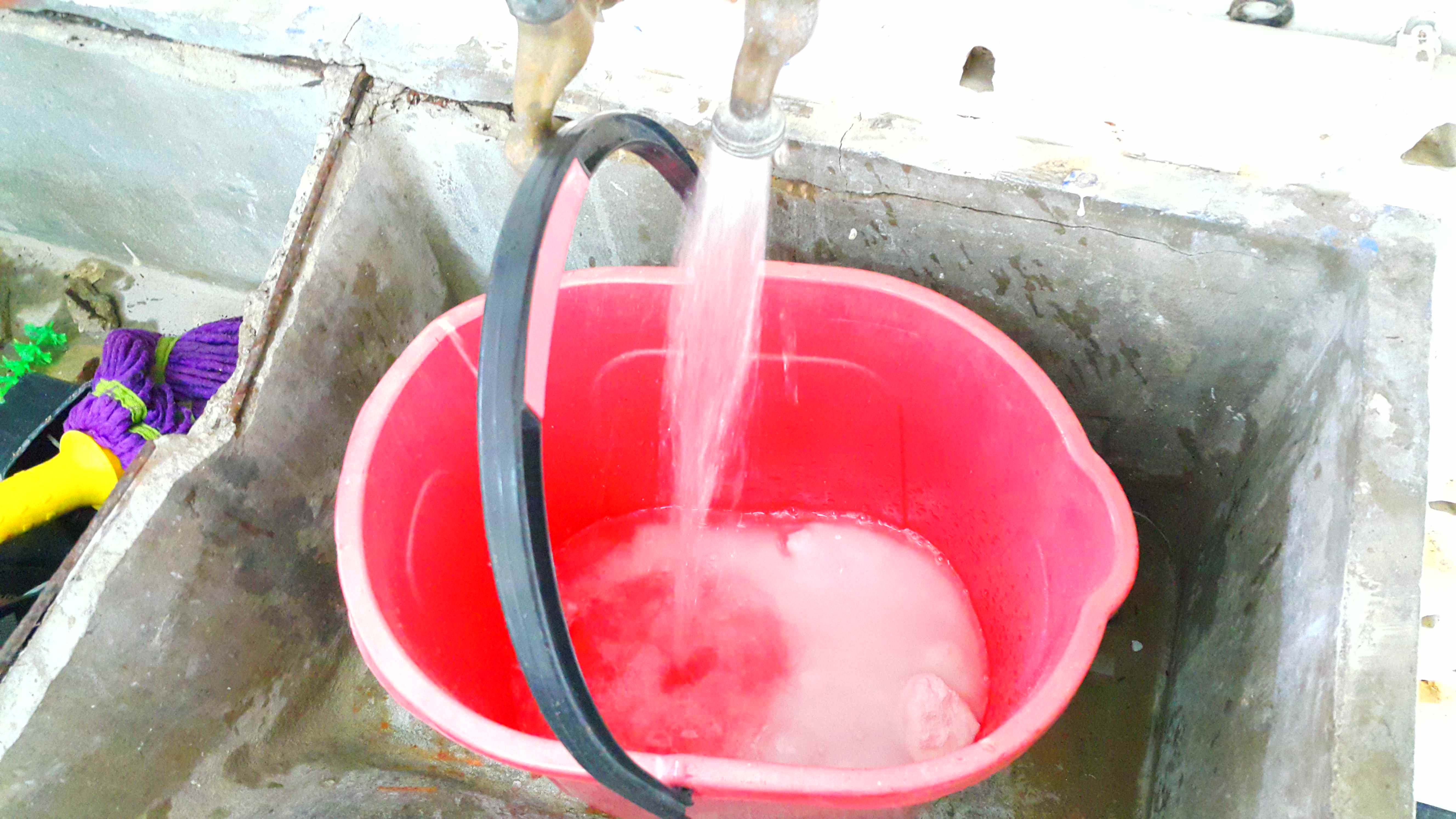 How to Kill Termites. 6 Steps (with Pictures) Instructables