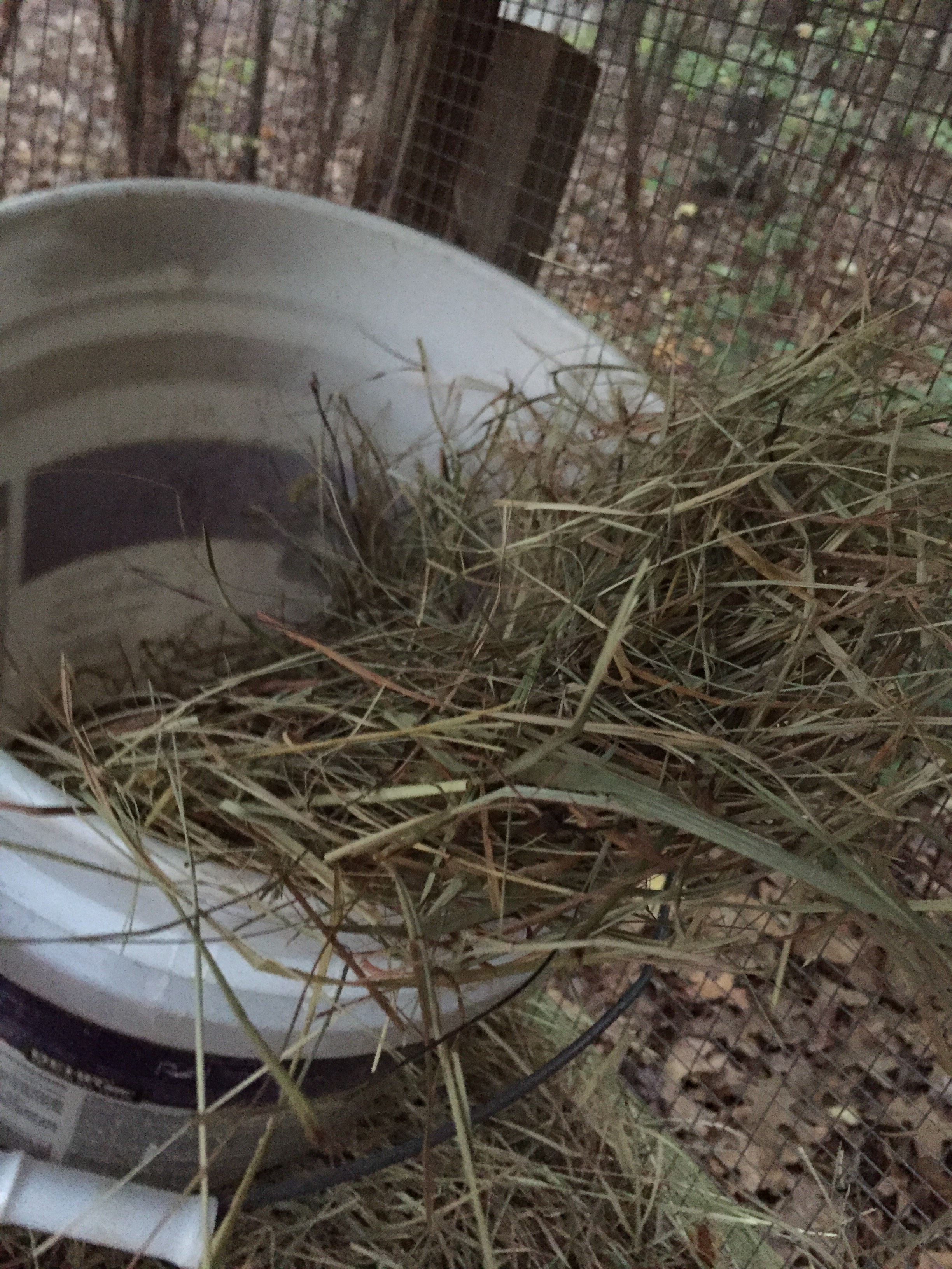 How to Make a Rabbit Hut Out of Simple Things 4 Steps Instructables