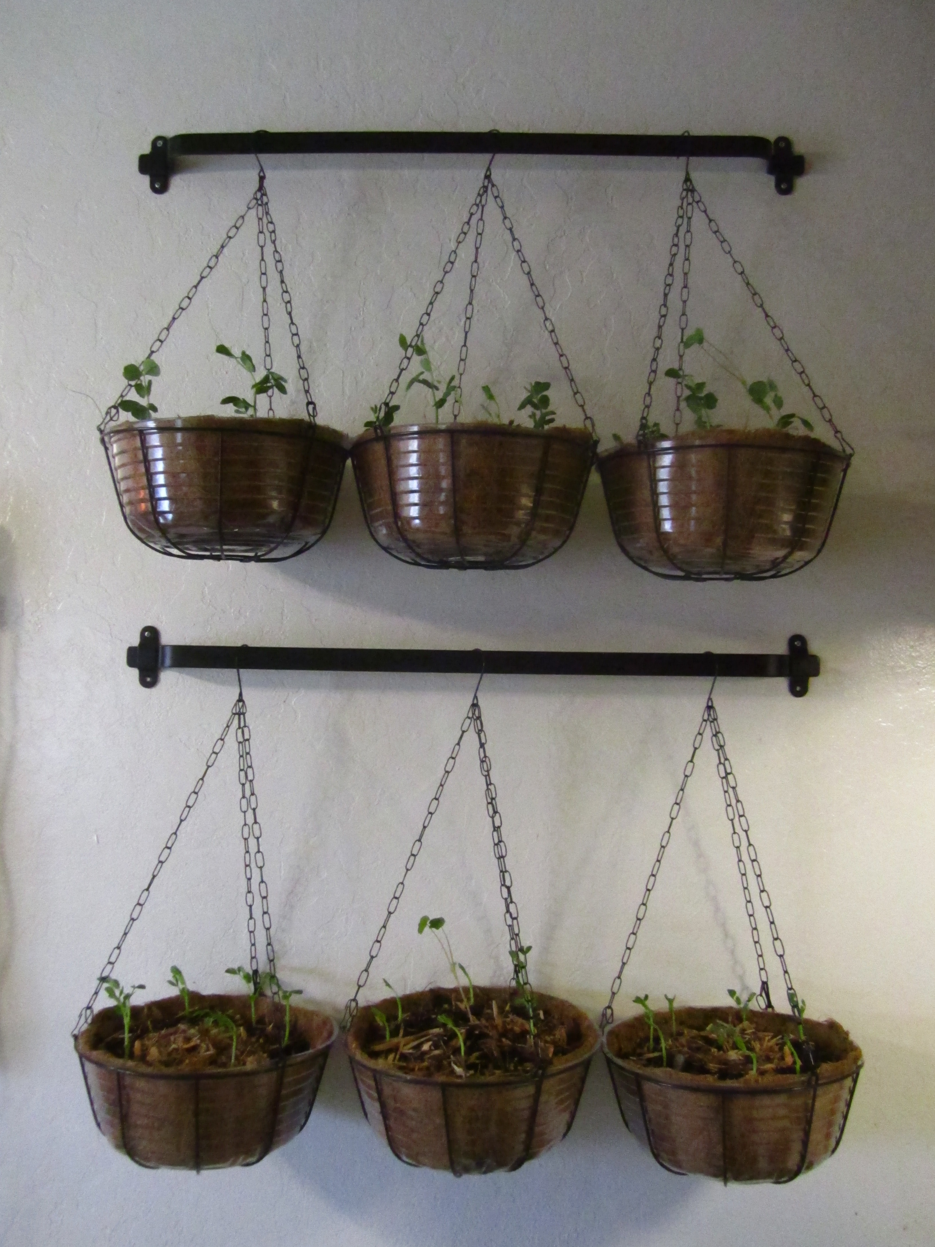 Hanging Vegetable Planters 4 Steps (with Pictures) Instructables