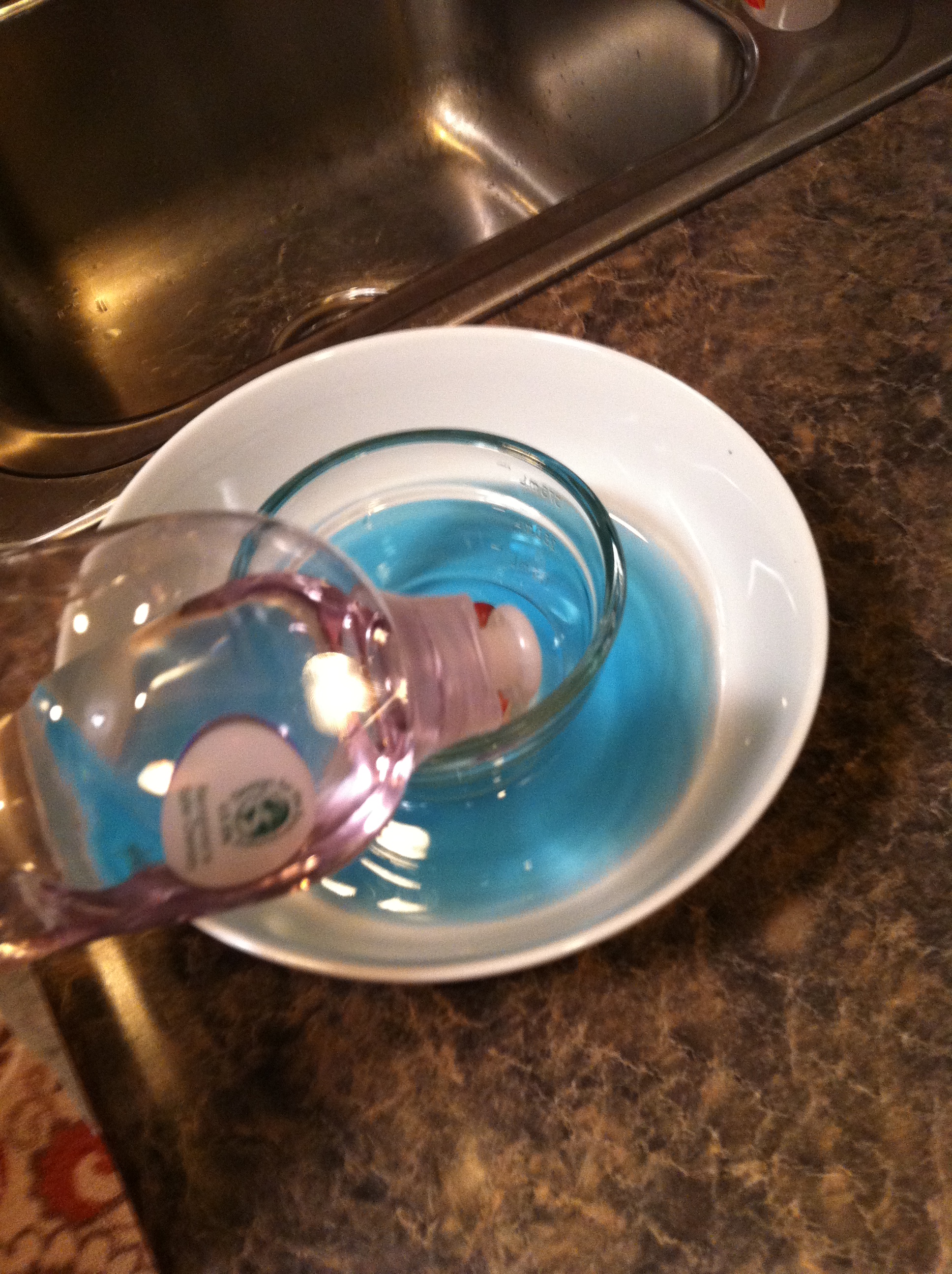 How to Create a Fool-Proof Gnat Trap : 9 Steps - Instructables