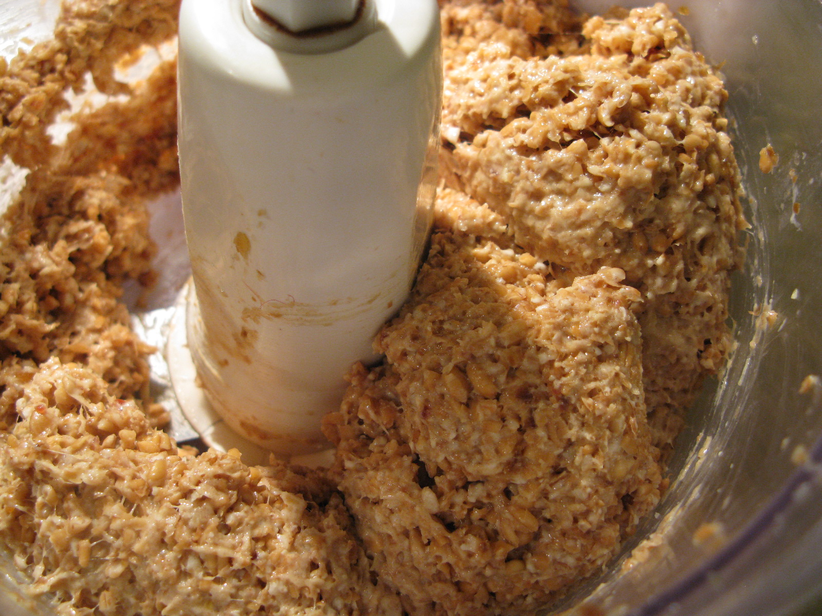 Sprouted Wheat Berry Bread = 2 Ingredients, 4 Steps 7 Steps (with Pictures) Instructables