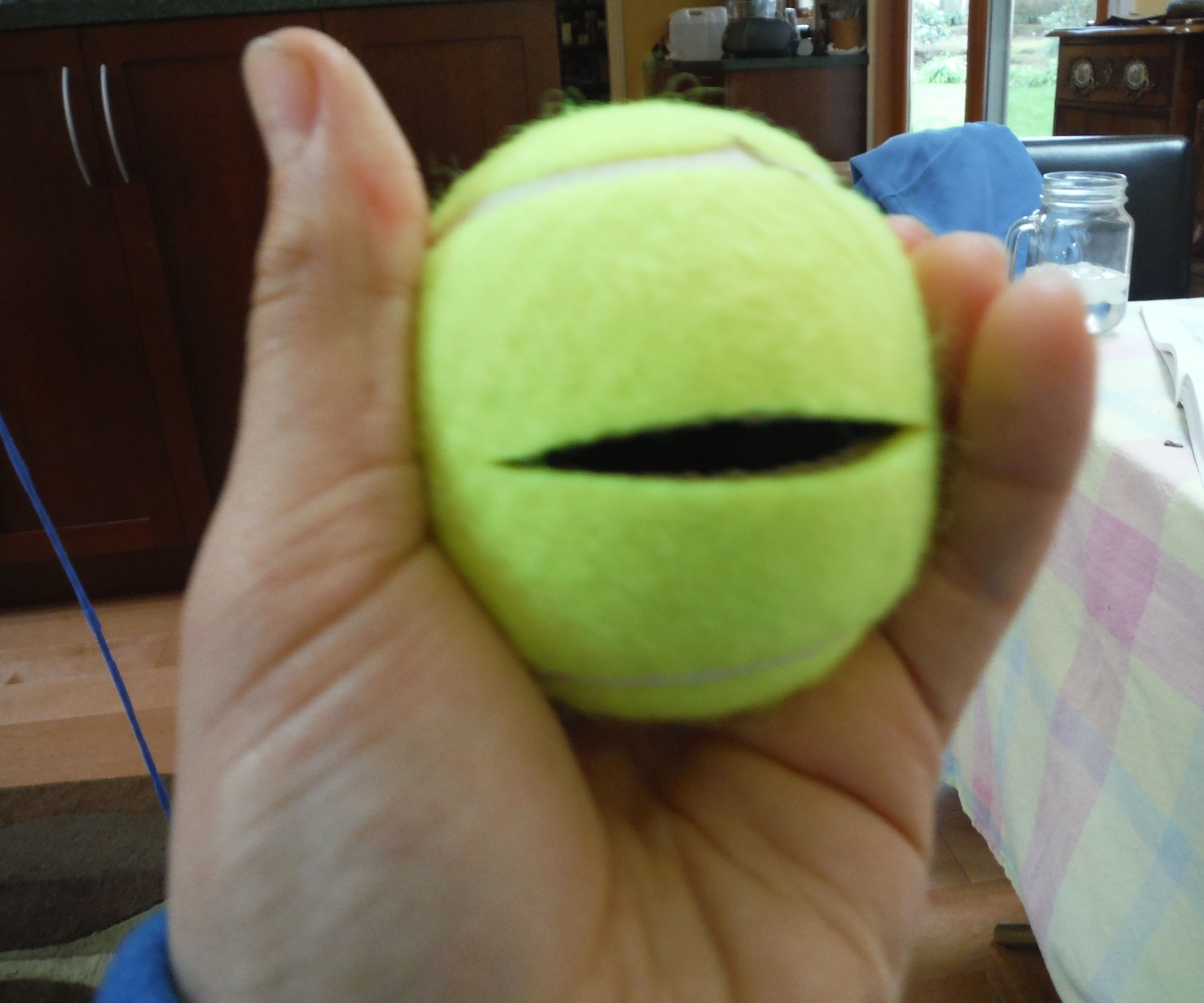 10 Things YOU Can Make From an Old Tennis Ball! Instructables