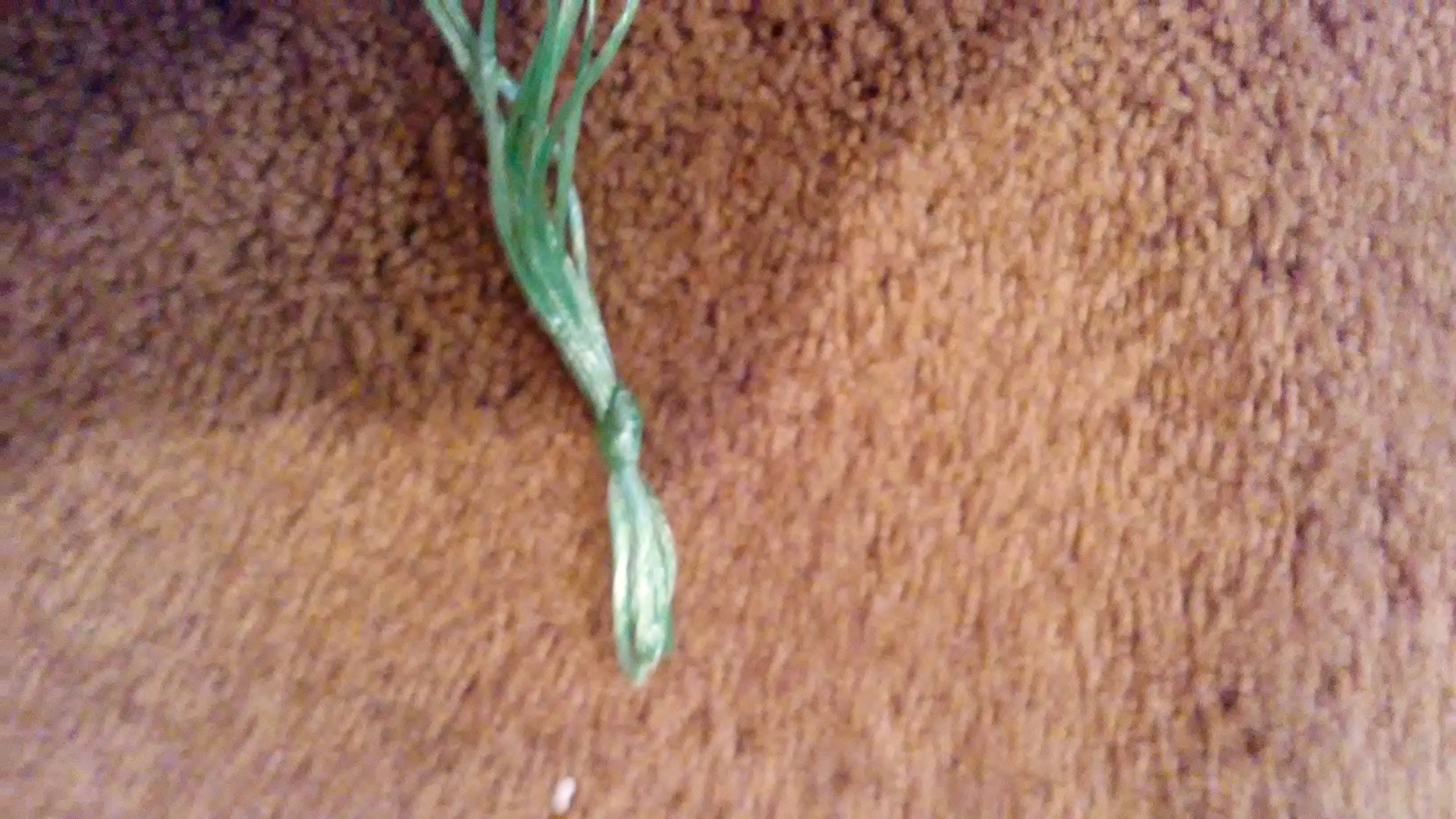 Paraflinger (Make Your Parachute Fly Higher Than Before) 8 Steps