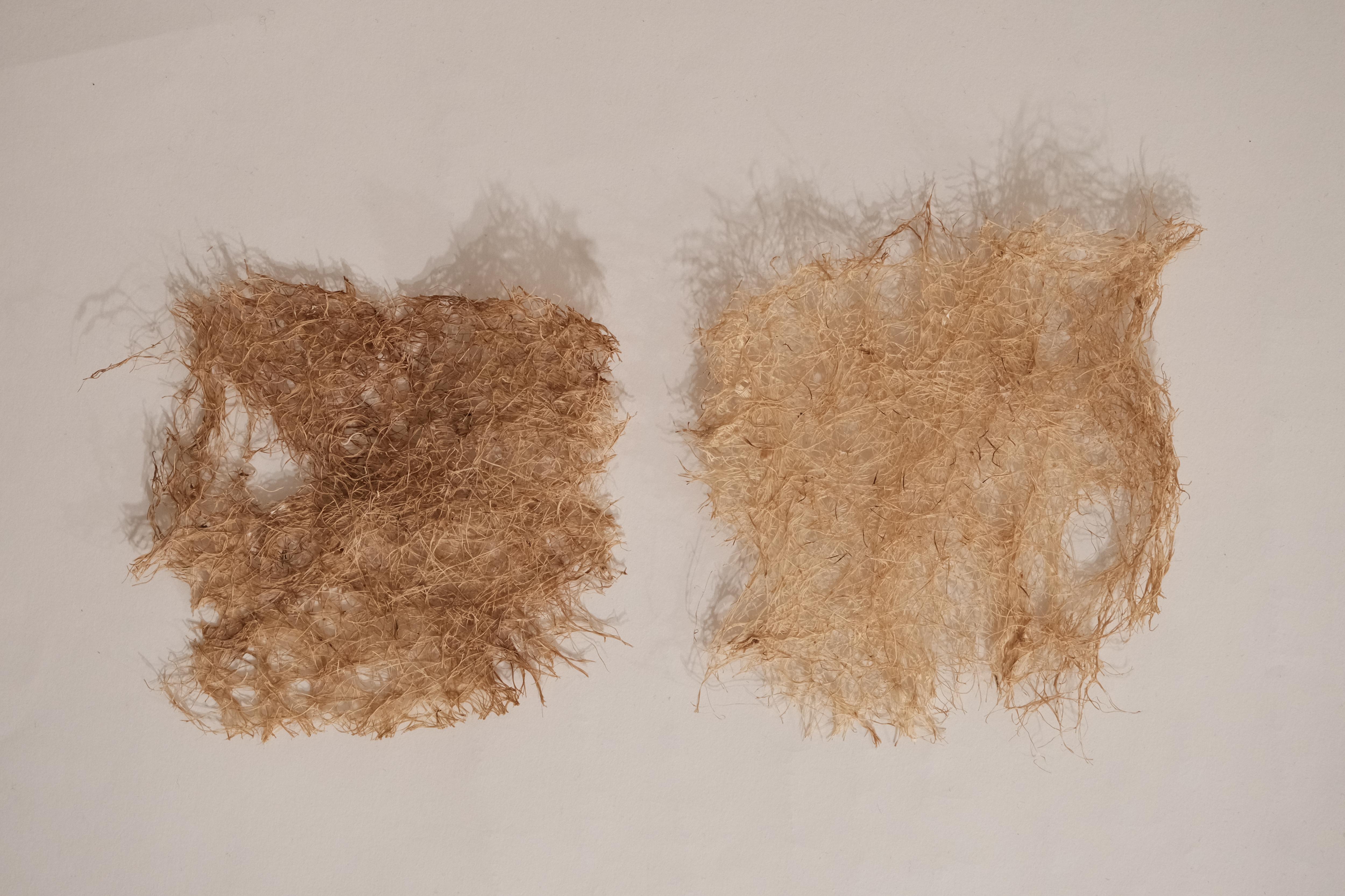 Make Wheatgrass Root Mats 6 Steps (with Pictures) Instructables