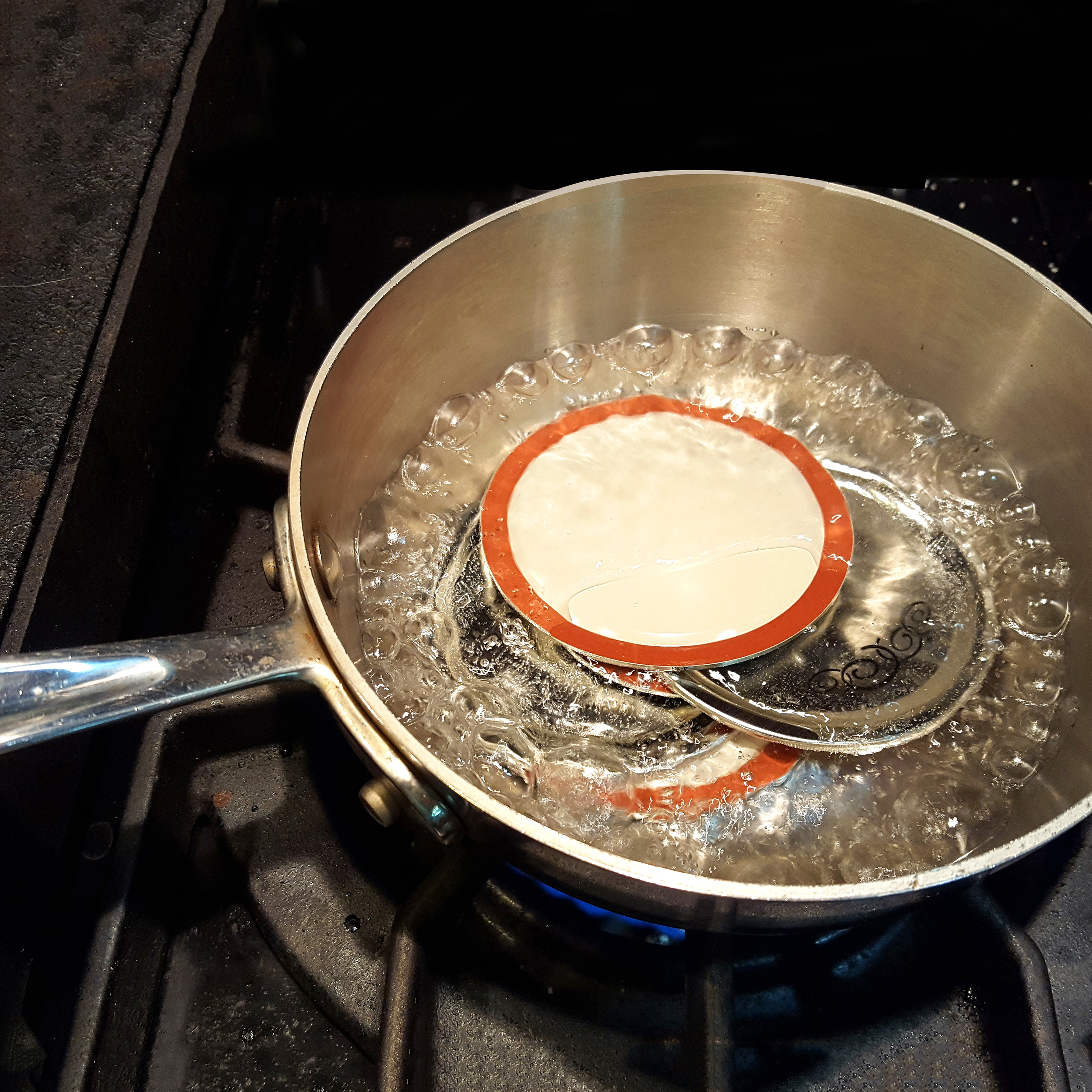 Fig Jam 10 Steps (with Pictures) Instructables