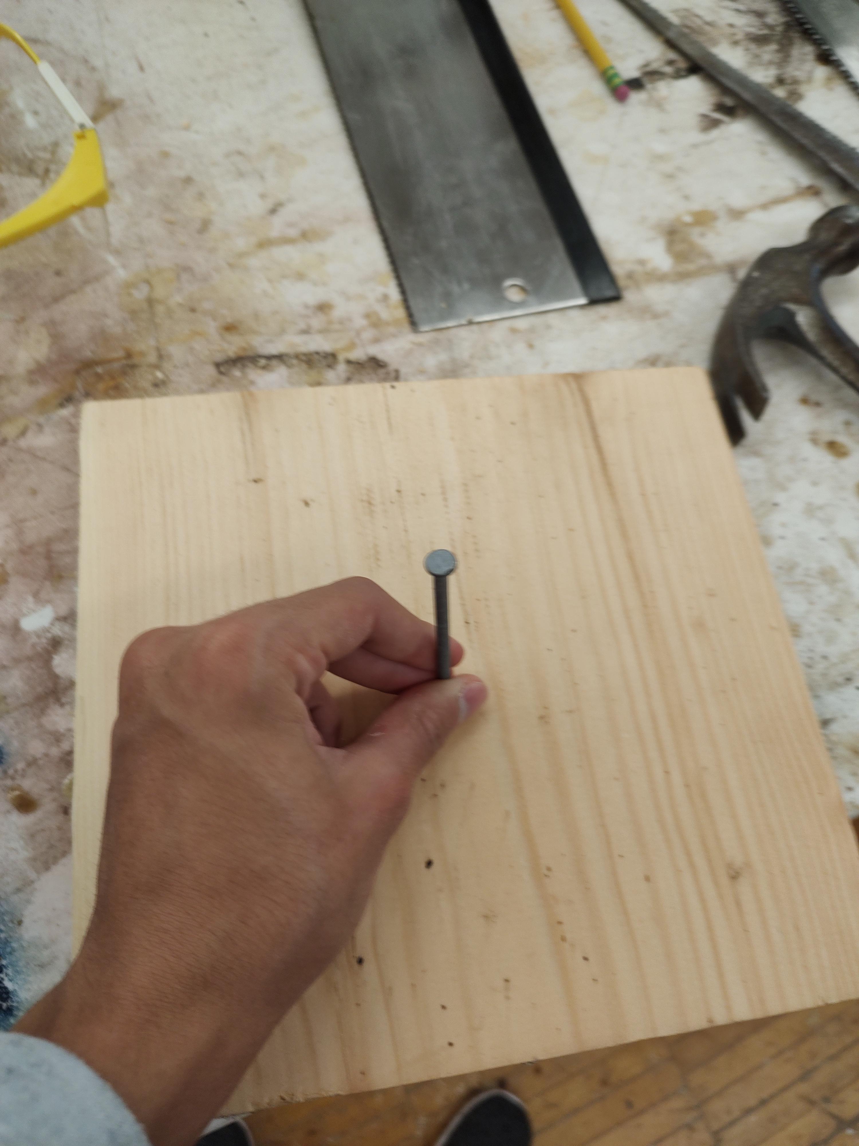 How to Hammer a Nail Into a Piece of Wood and Pry It Out 3 Steps