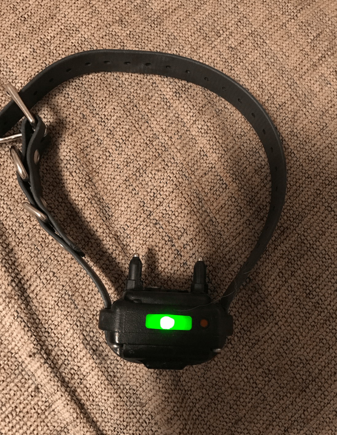 How to Train Your Dog Using an Electric Collar 3 Steps Instructables