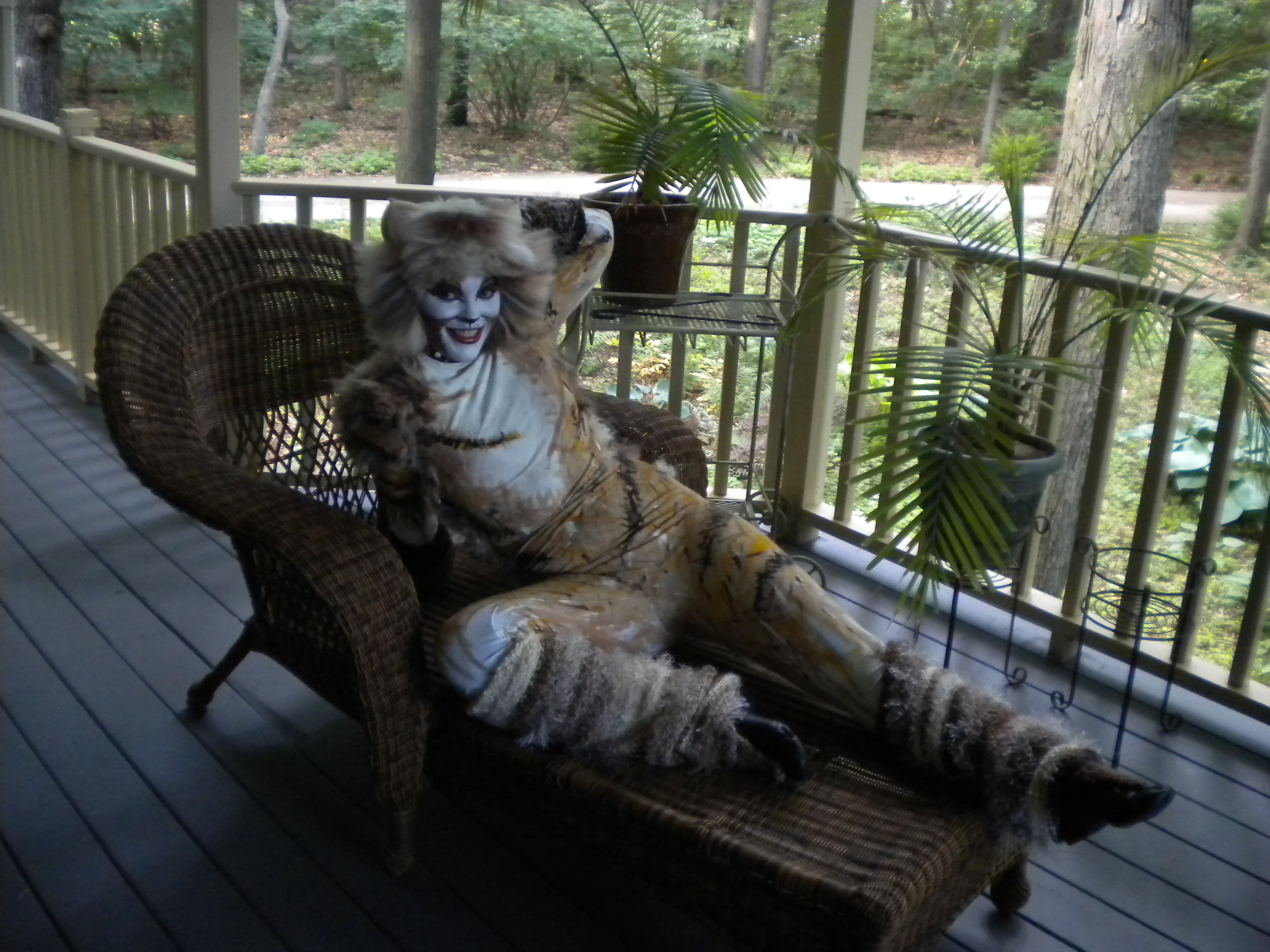 Cats Musical Costume Instructables