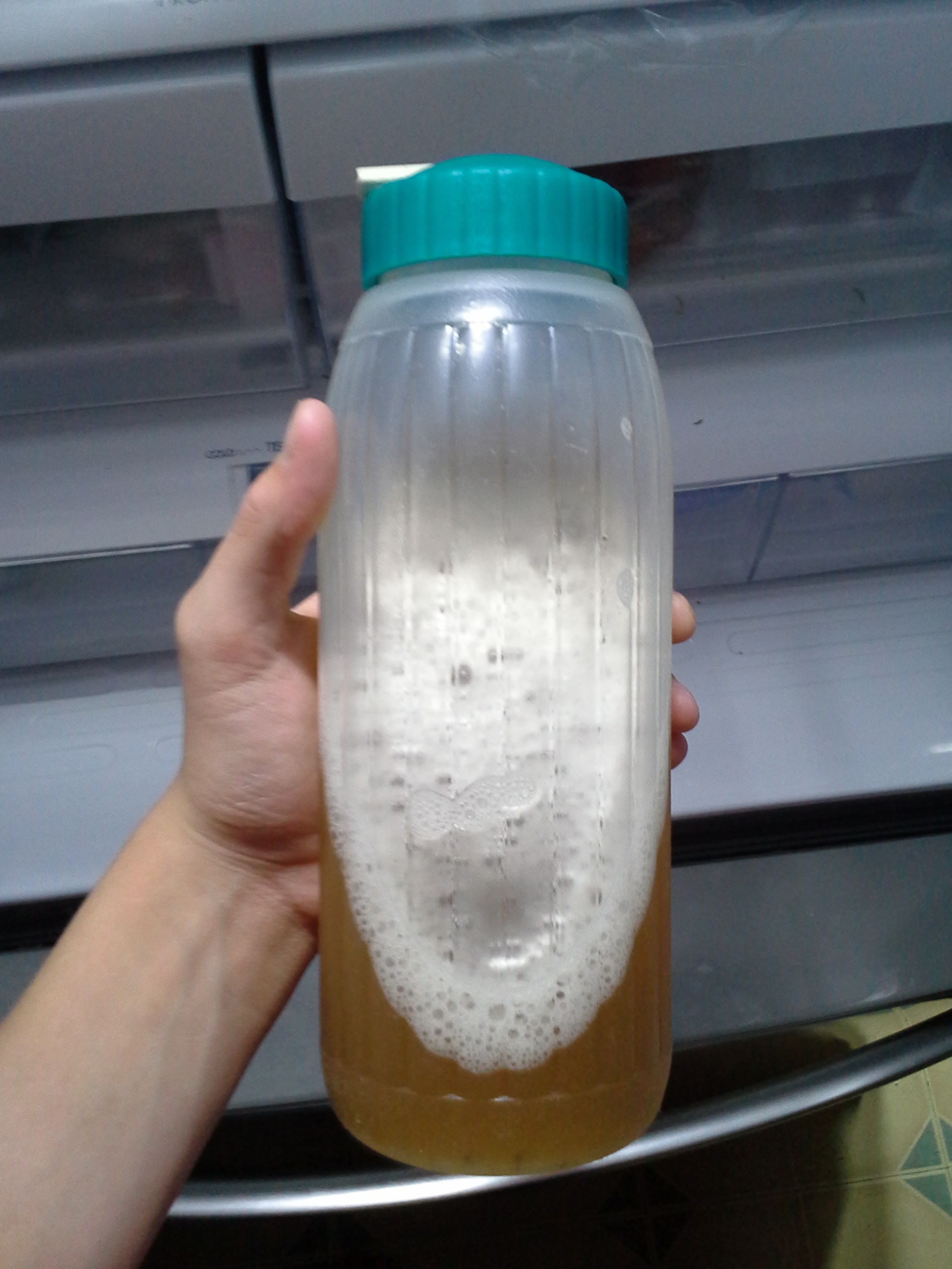 Ginger Ale Soda Stream Syrup! 3 Steps Instructables