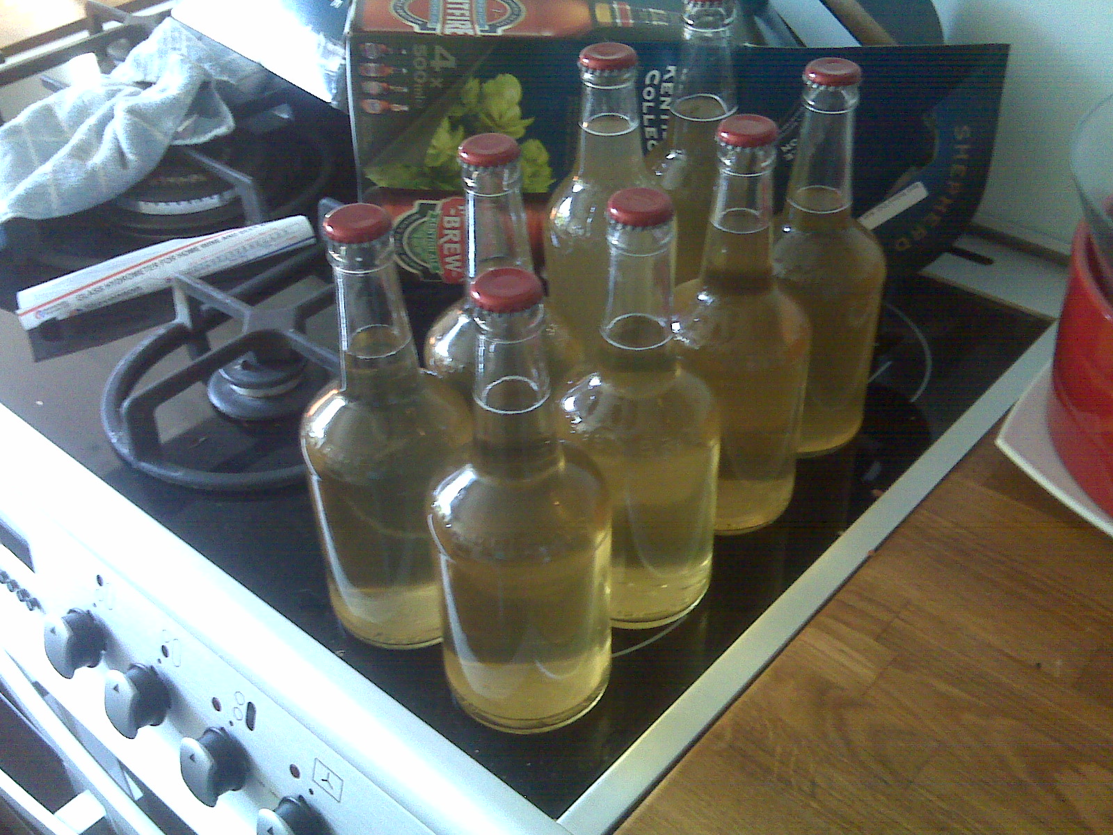 Simple Homemade Cider With a Juicer and No Press 4 Steps Instructables