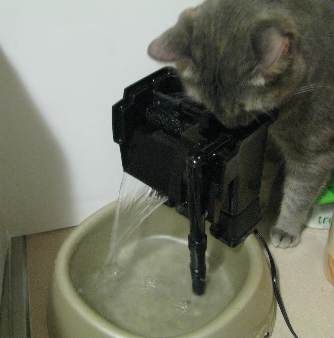 I Can Make an Aqua Cube Pet Watering System Instructables