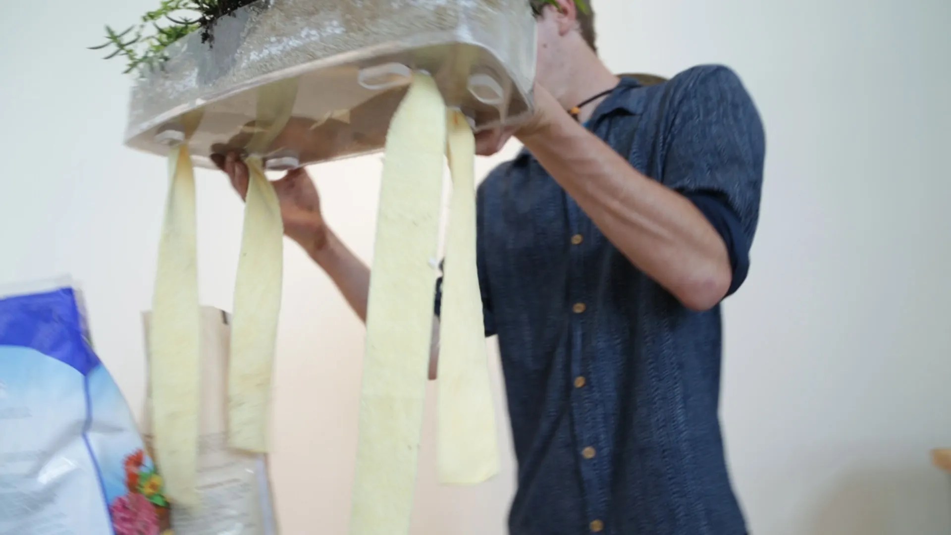 Toilet Garden 12 Steps (with Pictures) Instructables