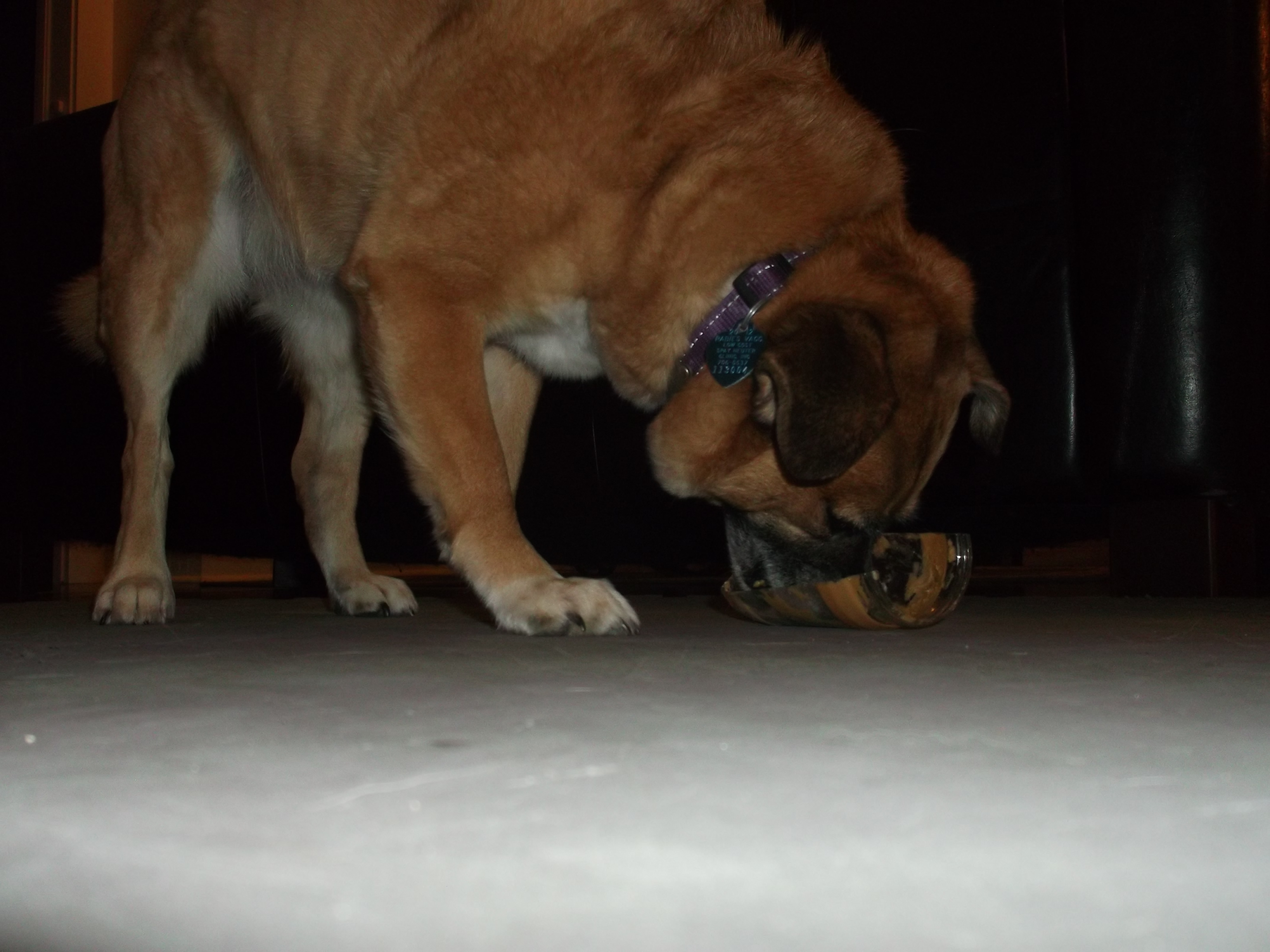 Clean Peanut Butter Jar for Recycling 7 Steps (with Pictures