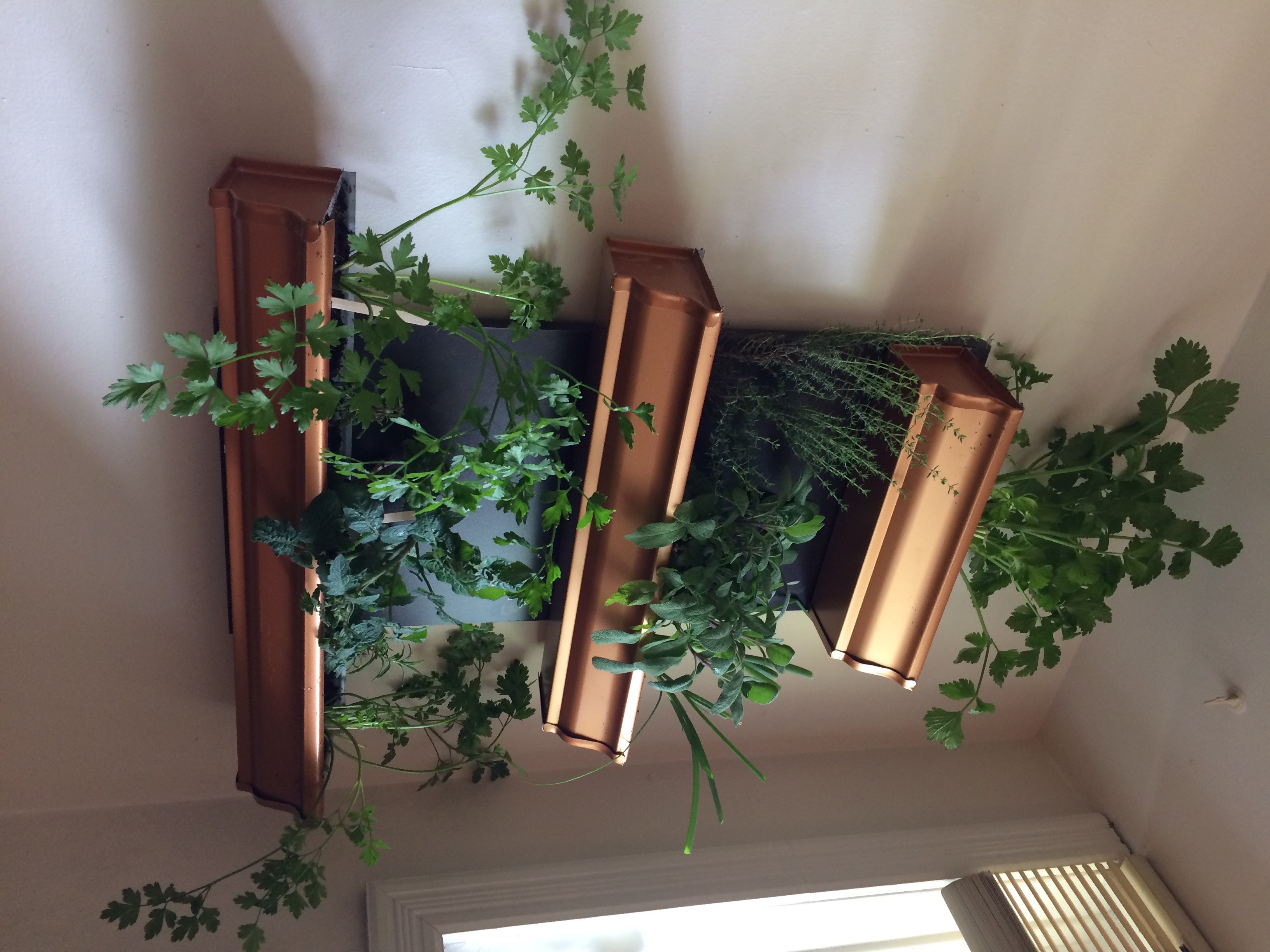 Indoor Herb Garden Shelf 4 Steps Instructables