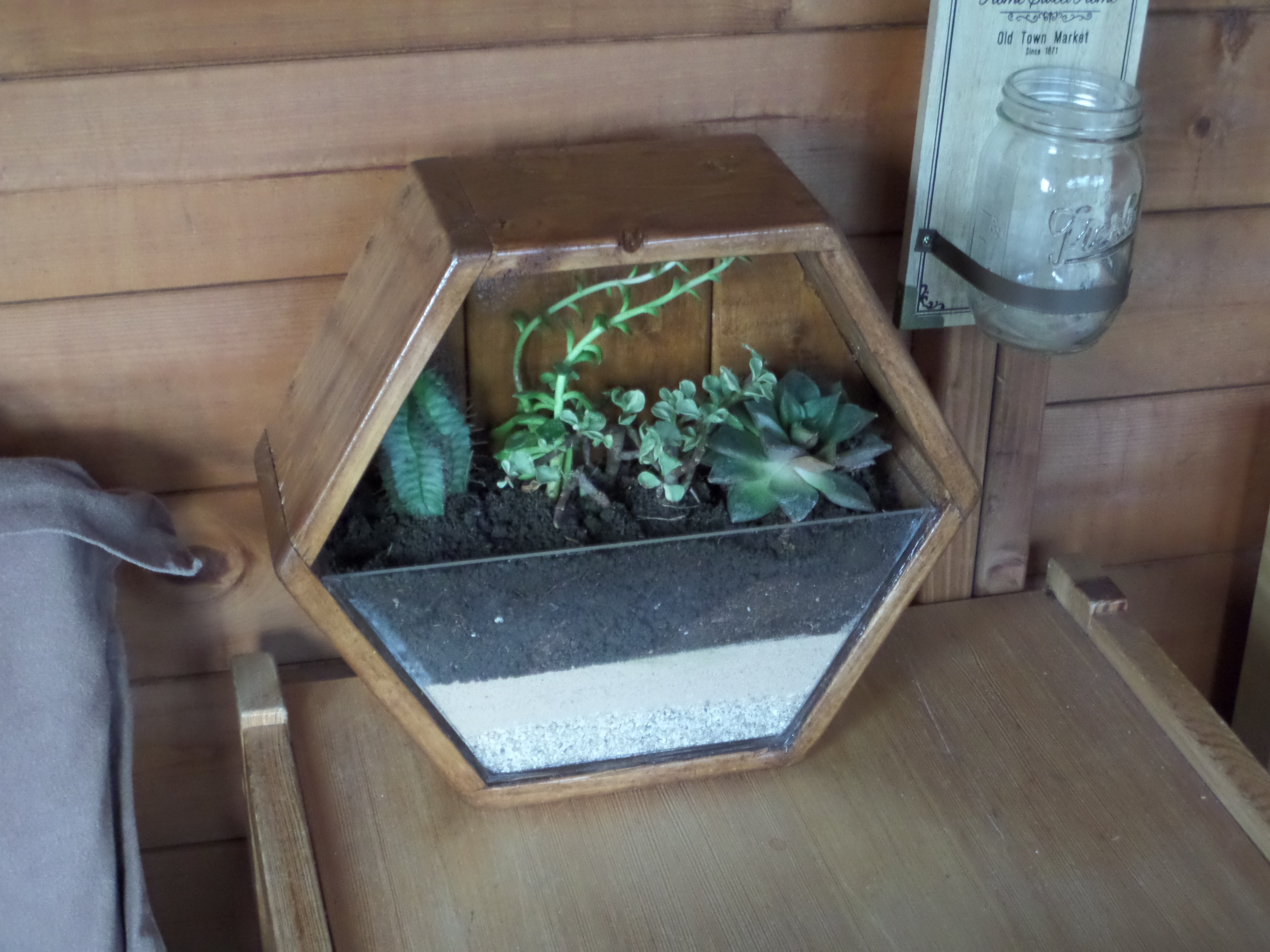 Easy Hexagonal Terrarium 6 Steps (with Pictures) Instructables