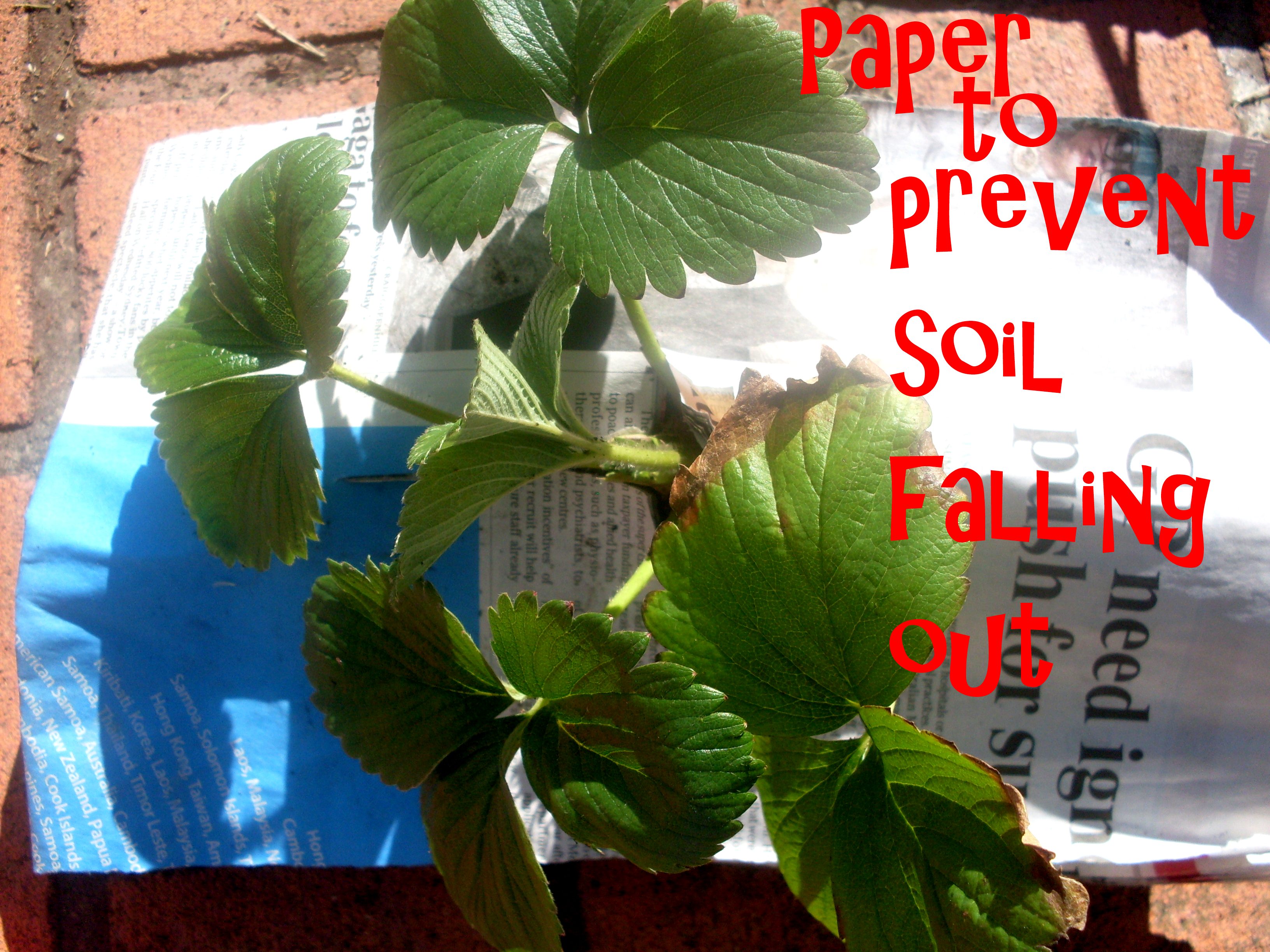 Sew a GrowBag or Upside Down Planter Bag (with Pictures) Instructables