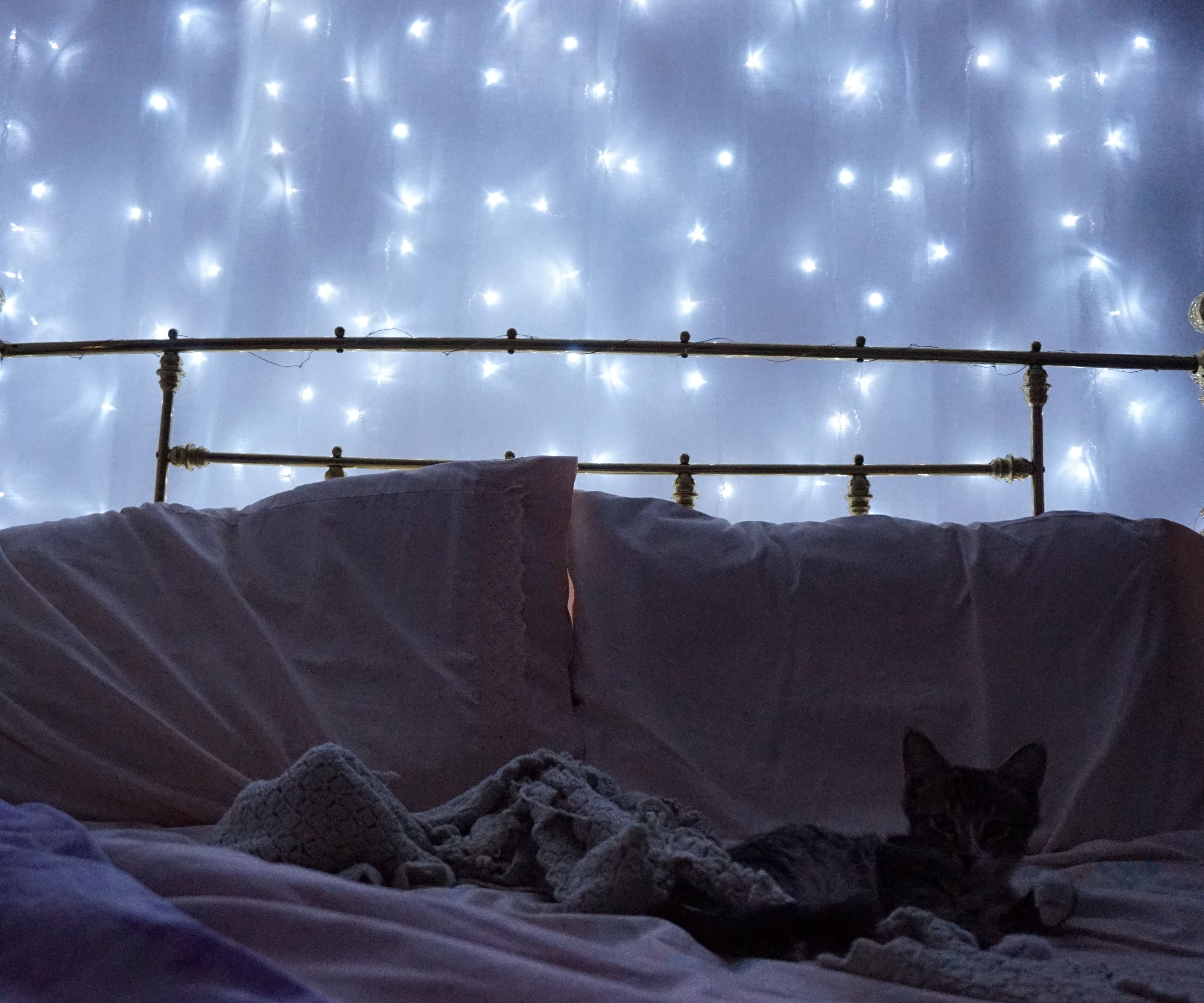 Fairy Light Wall Instructables