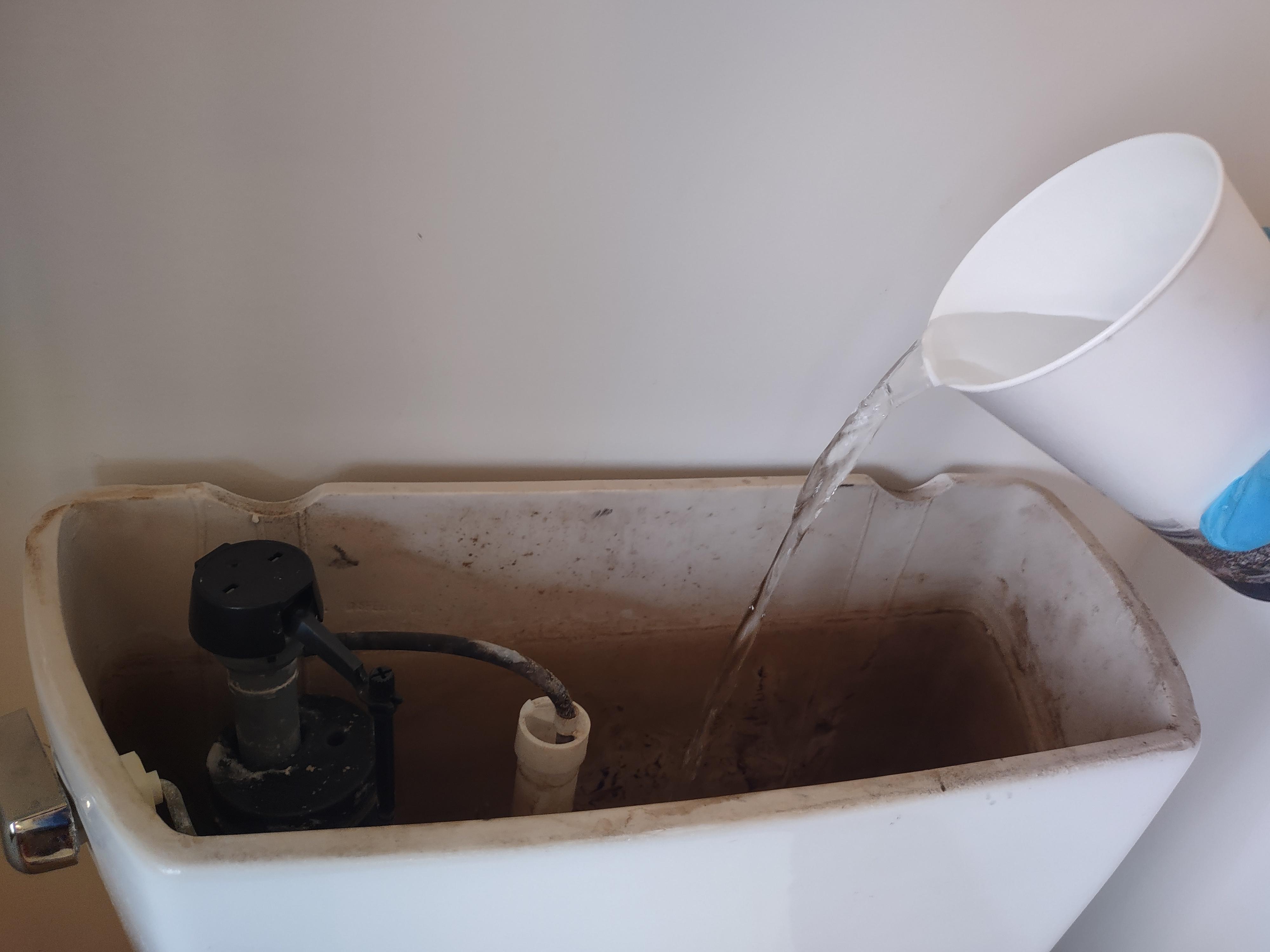 Fix a Toilet Tank Loose Handle, Discolored Water, and High Water Level