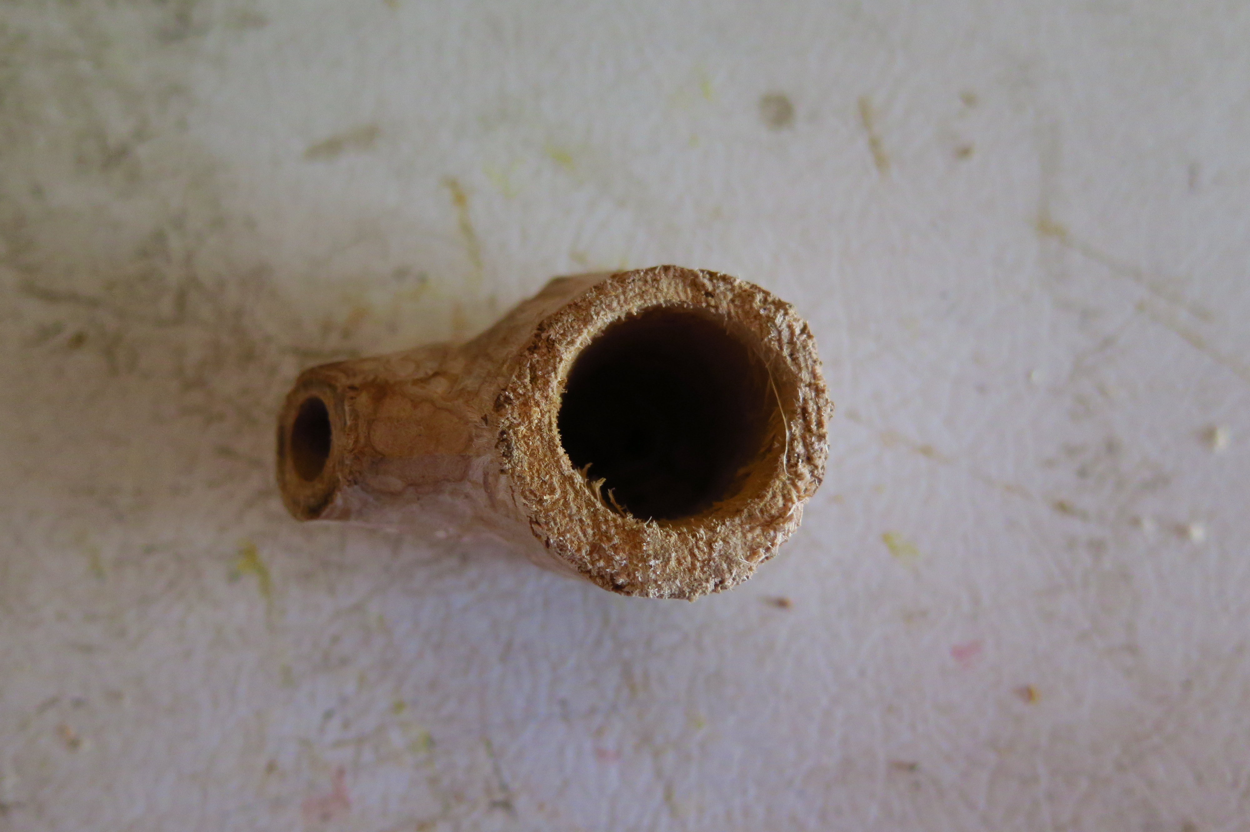 Awesome Tree Branch Pipe 9 Steps Instructables