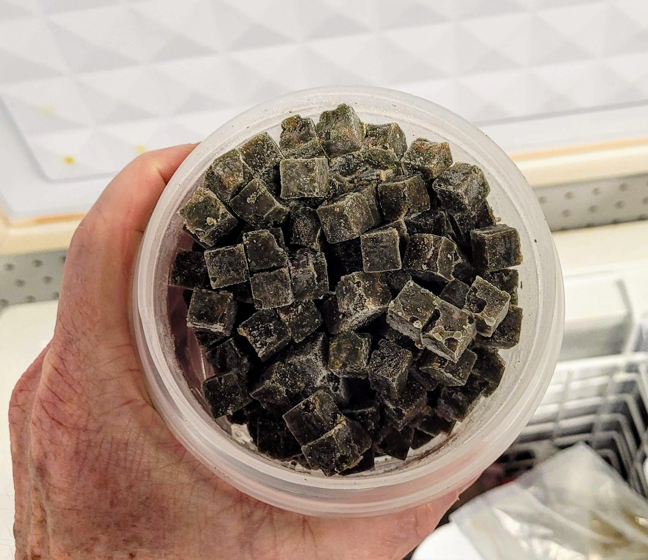 Make Your Own Discus Food 7 Steps Instructables