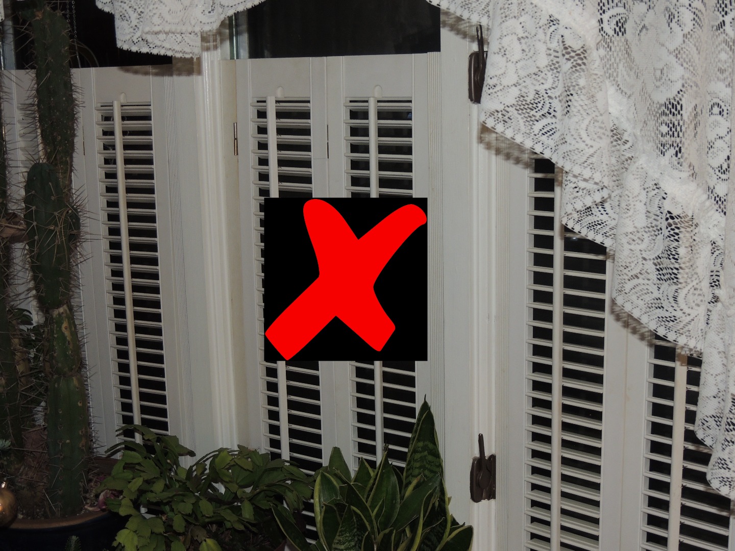 Long Lasting Christmas Tree 4 Steps (with Pictures) Instructables