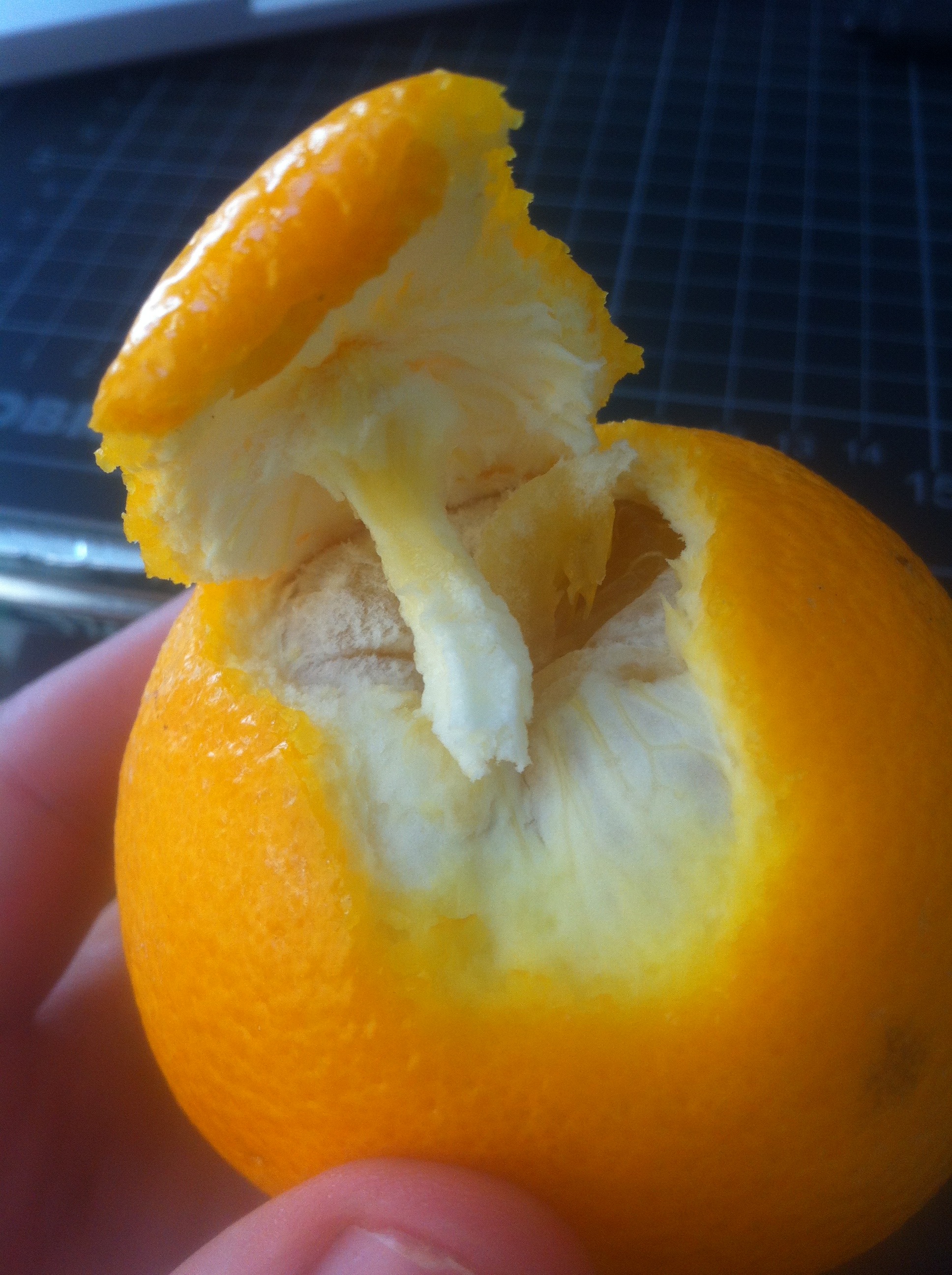 How to Peel an Orange 3 Steps Instructables