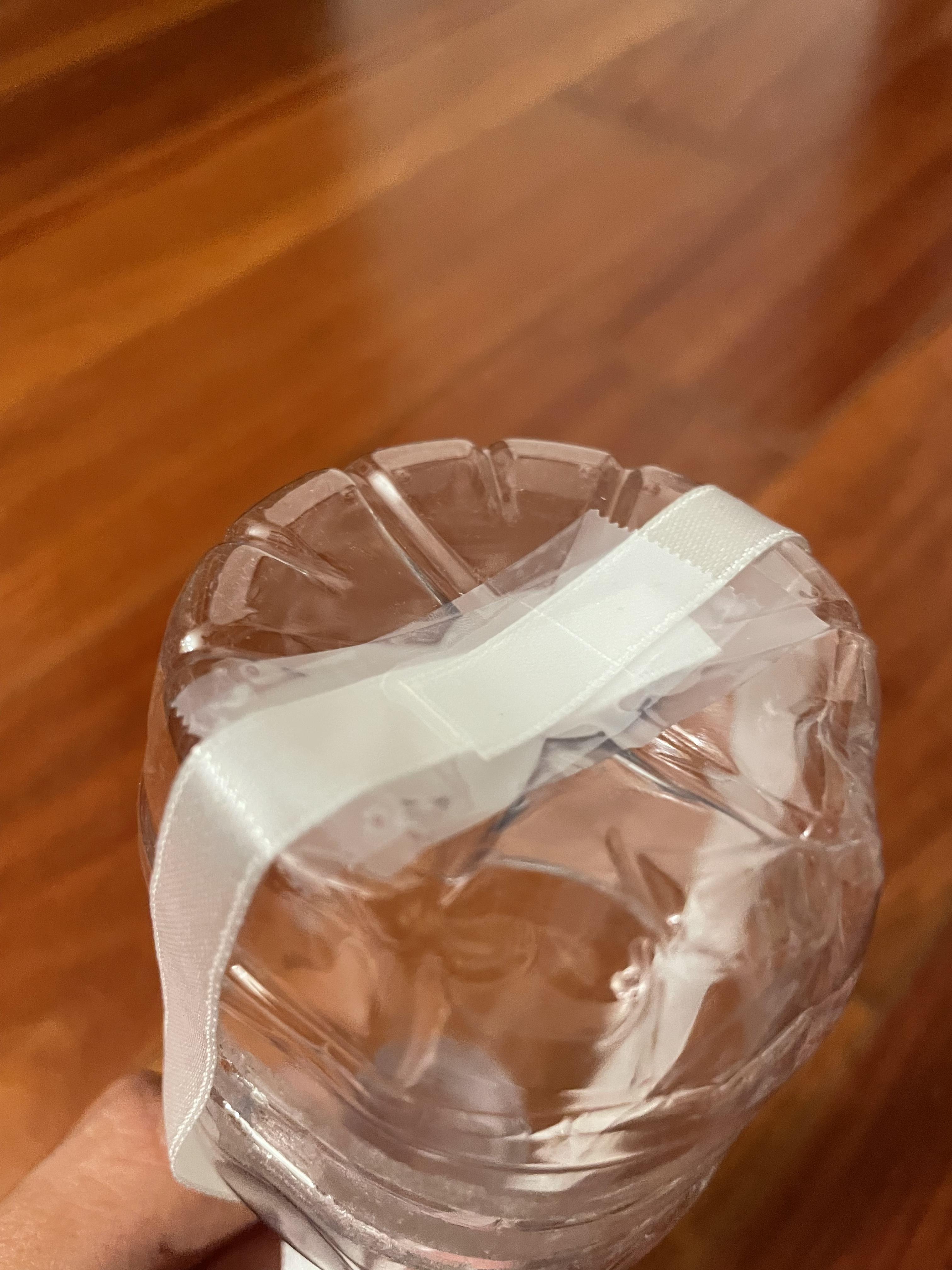 Water Bottle Christmas Ornament 13 Steps Instructables