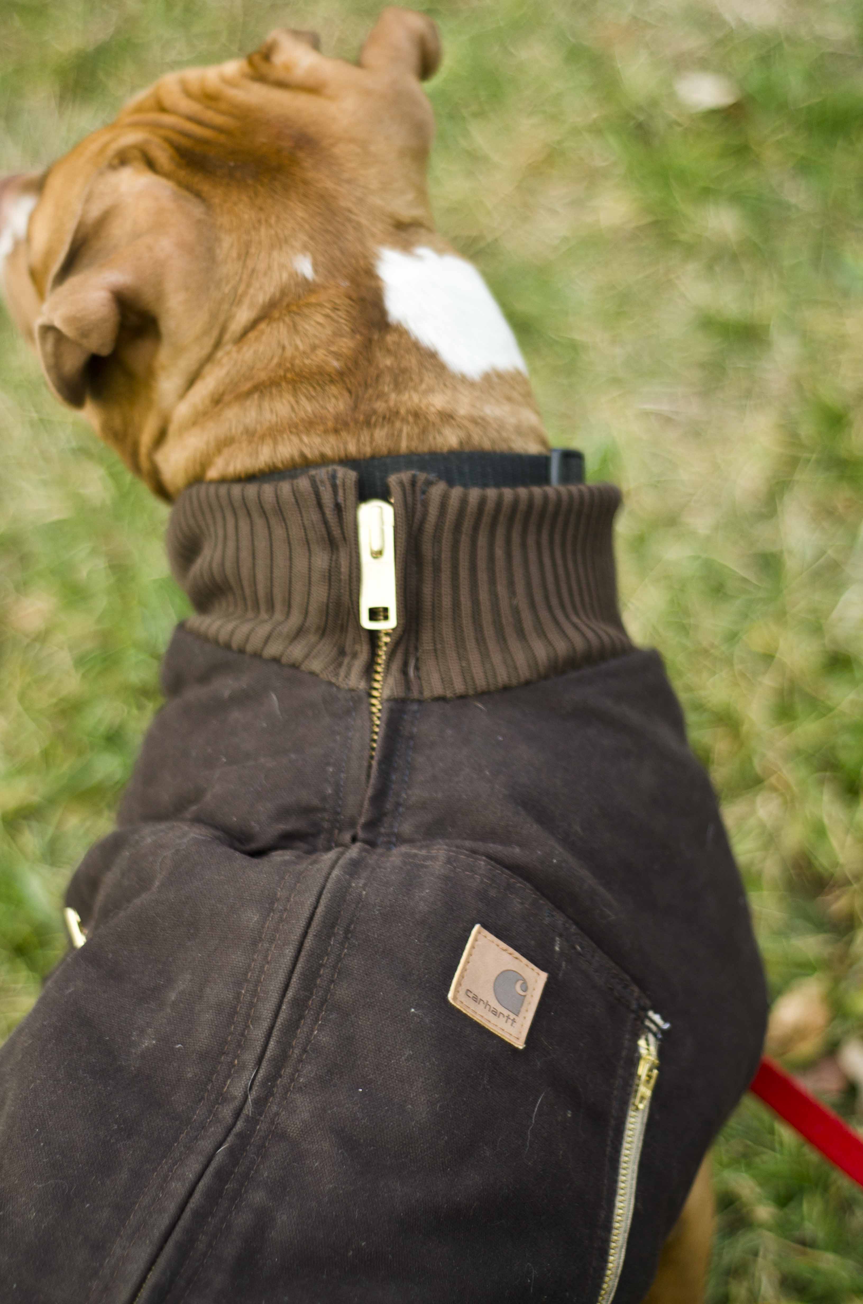 Carhartt Dog Vest Clearance