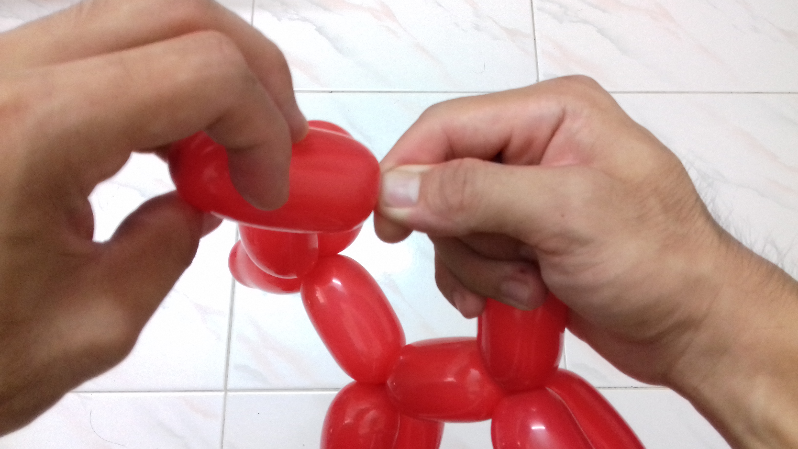 Balloon Twisting Dog 7 Steps (with Pictures) Instructables