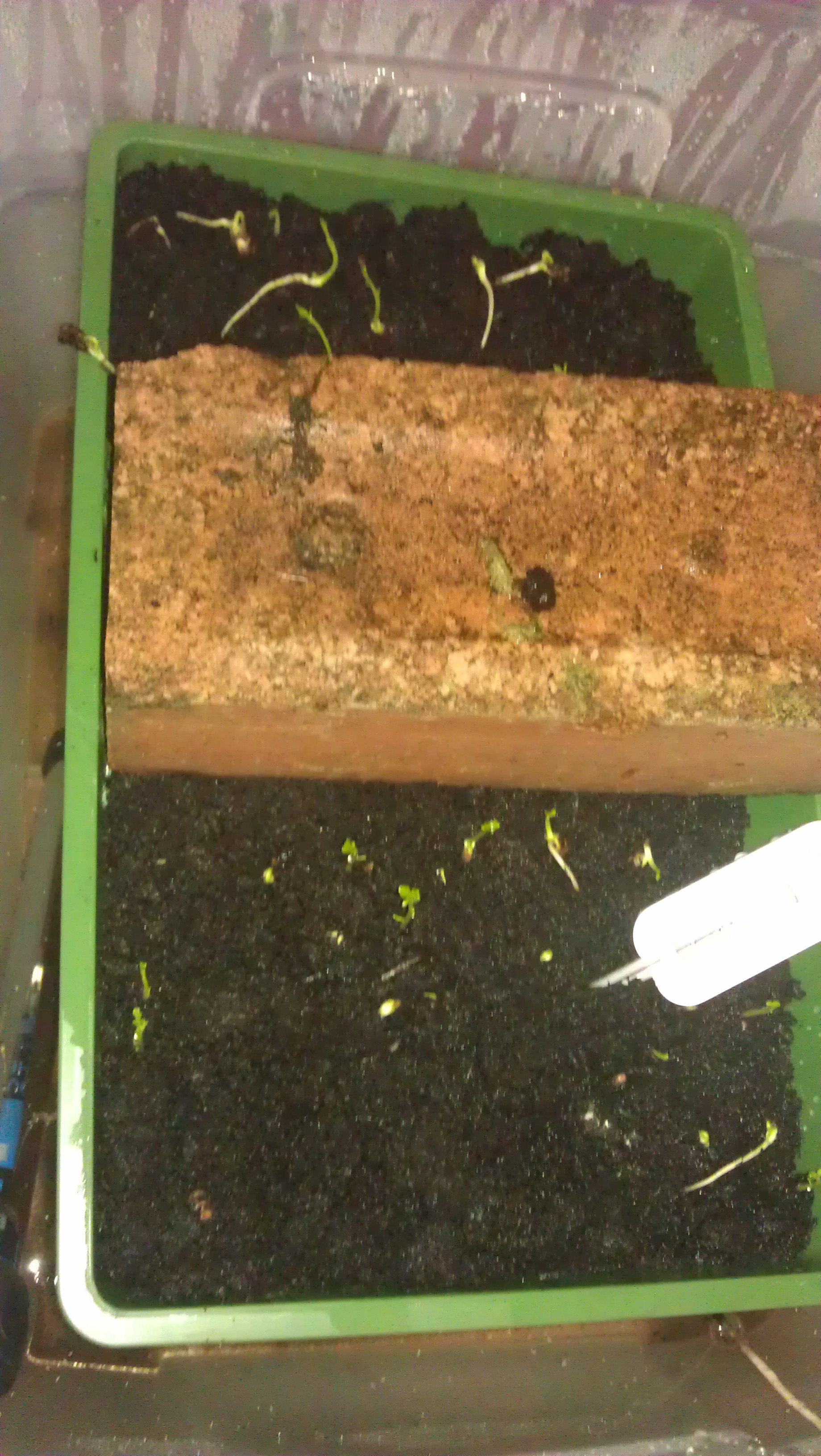 Thermostatic Heated Propagator P Instructables