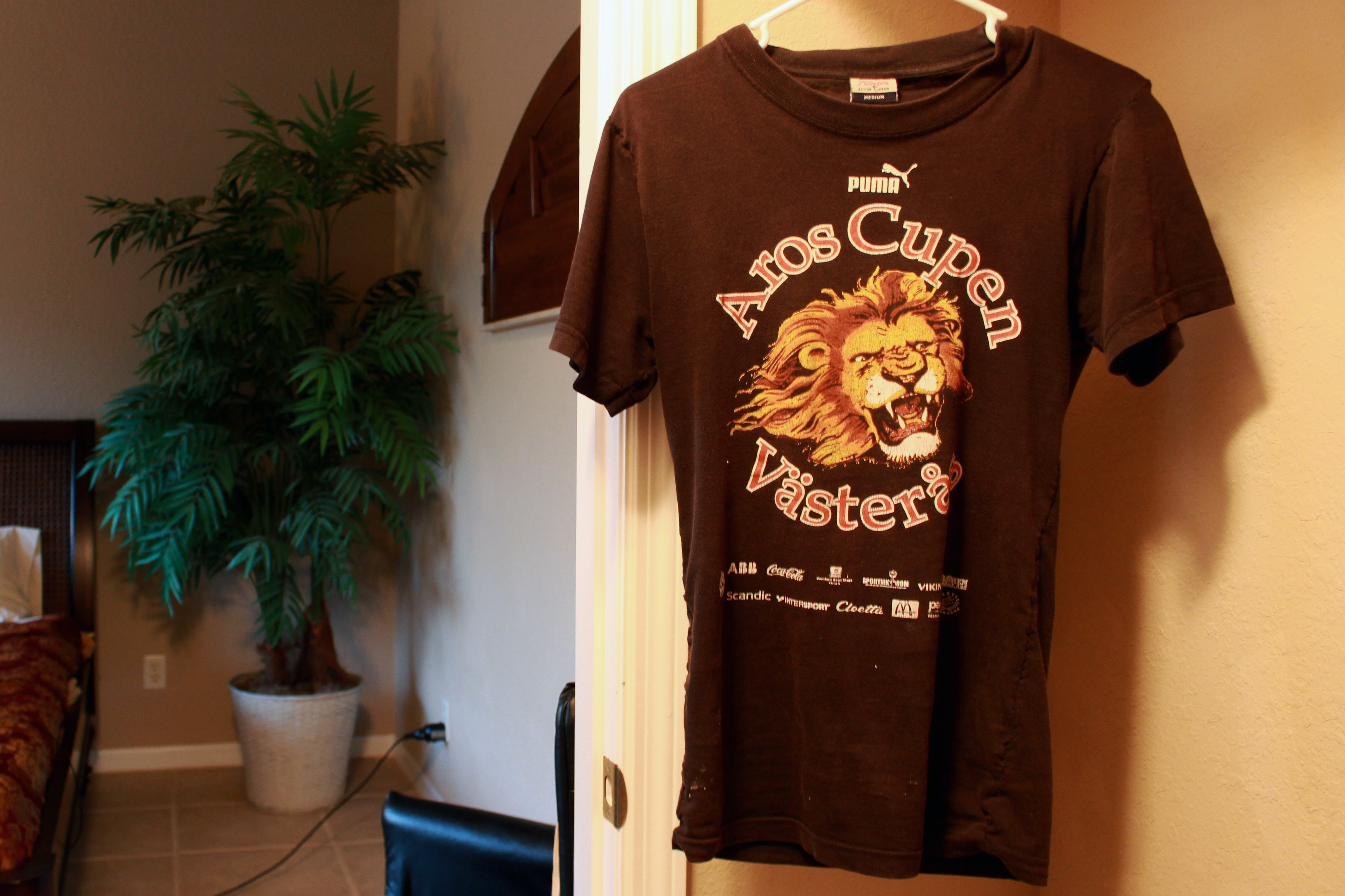 How to Take in a Tshirt (without a Sewing Machine) 7 Steps (with